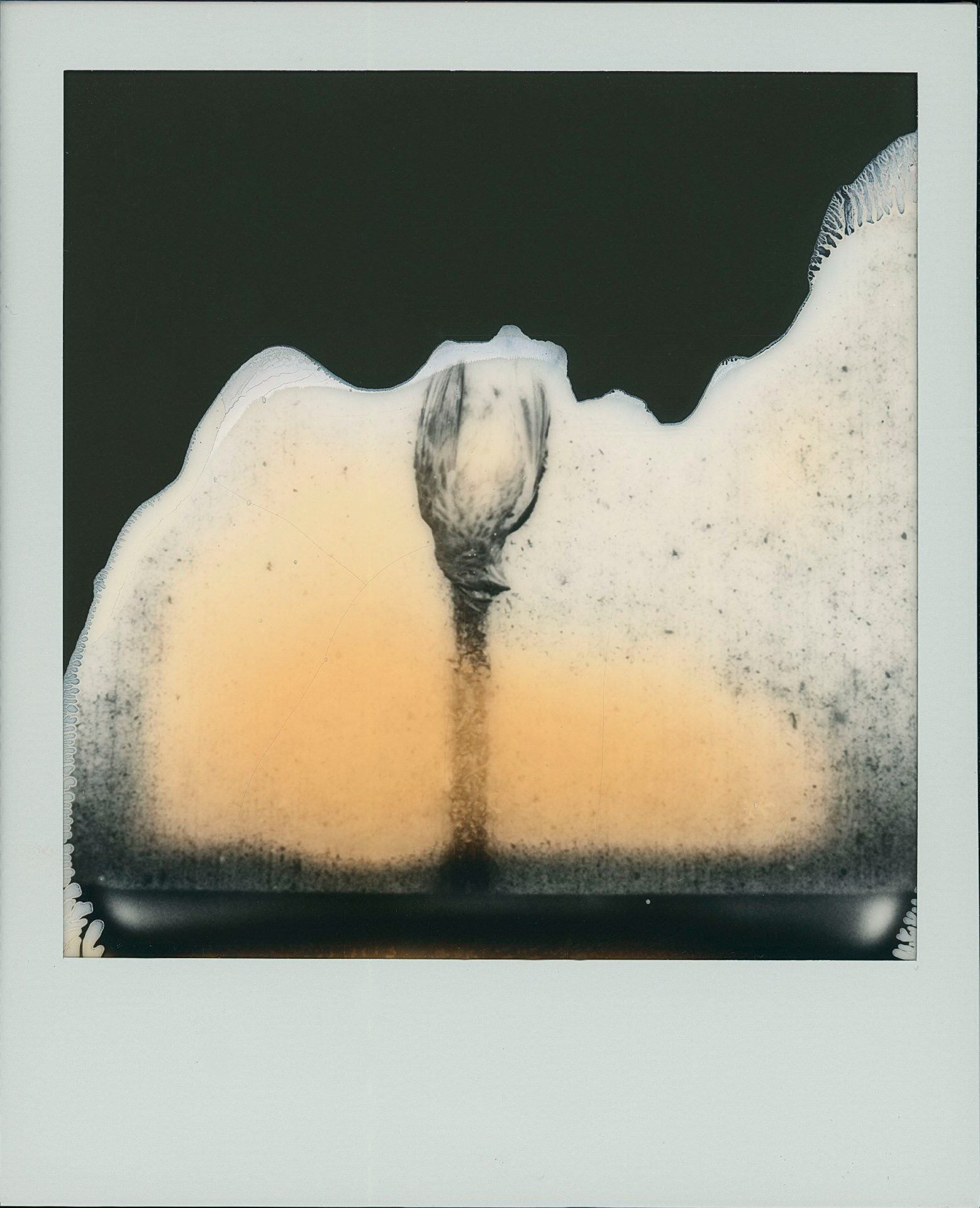 Reit Angle "Metamorphosis," 2025. Polaroid triptych, created with SX-70 Sonar camera and B&W SX-70 film. 14.8 in × 6.9 in