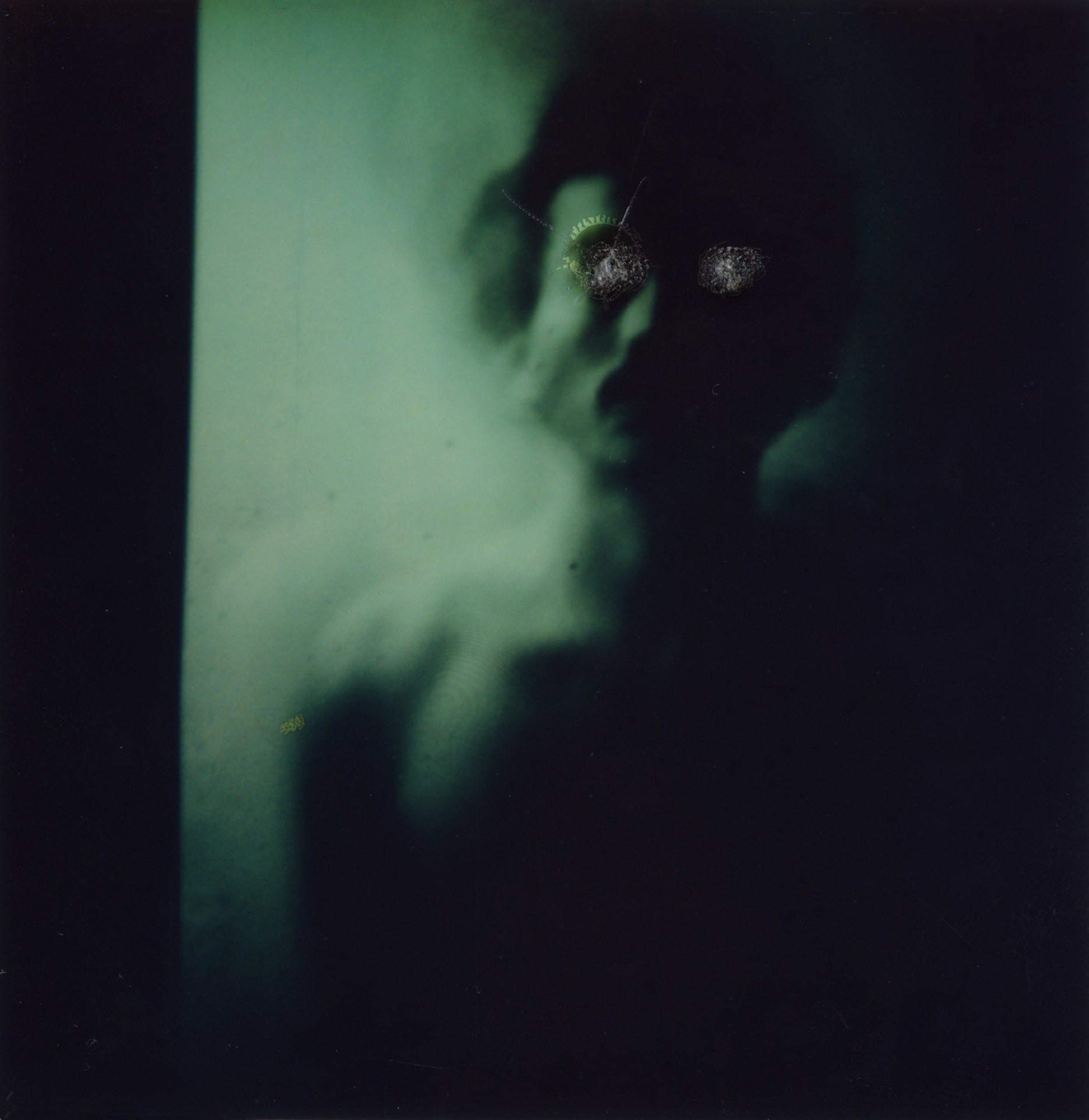 Juan Bosco Serna "Spirit Polaroid II," 2025. Altered Polaroid. 12 in × 12 in
