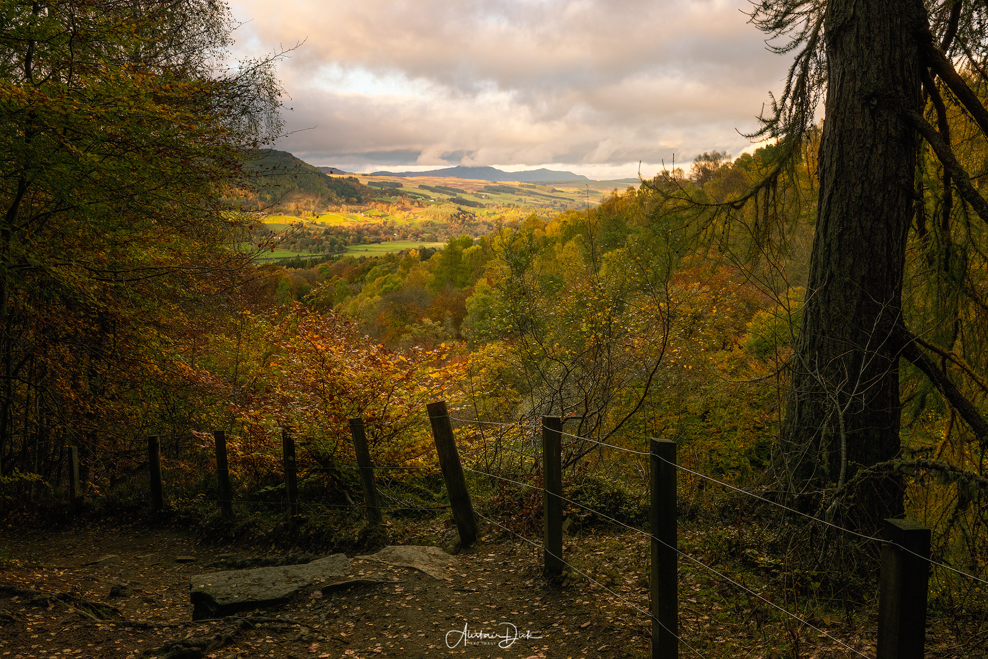Birks of Aberfeldy