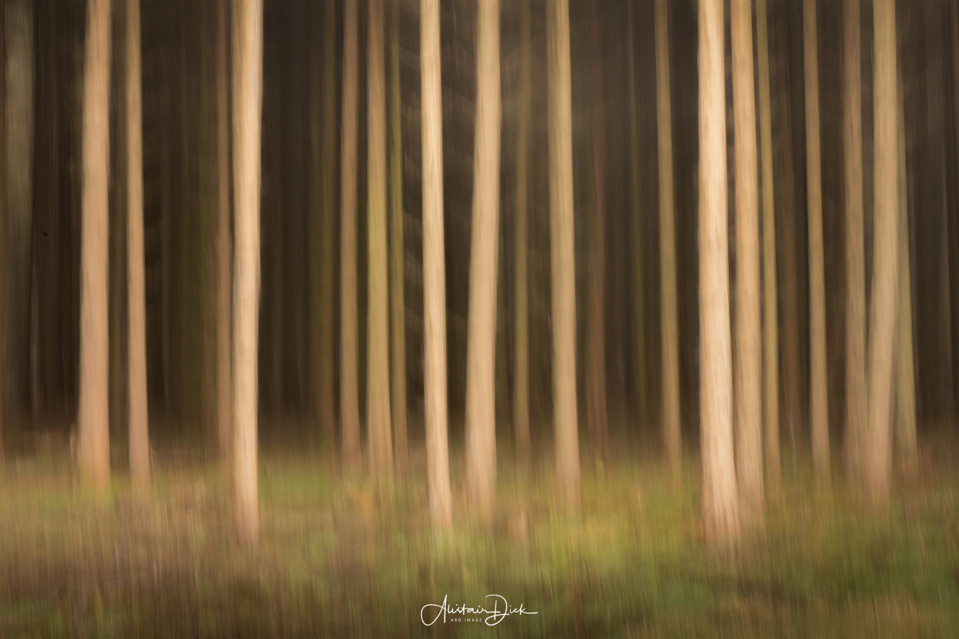 Abstract