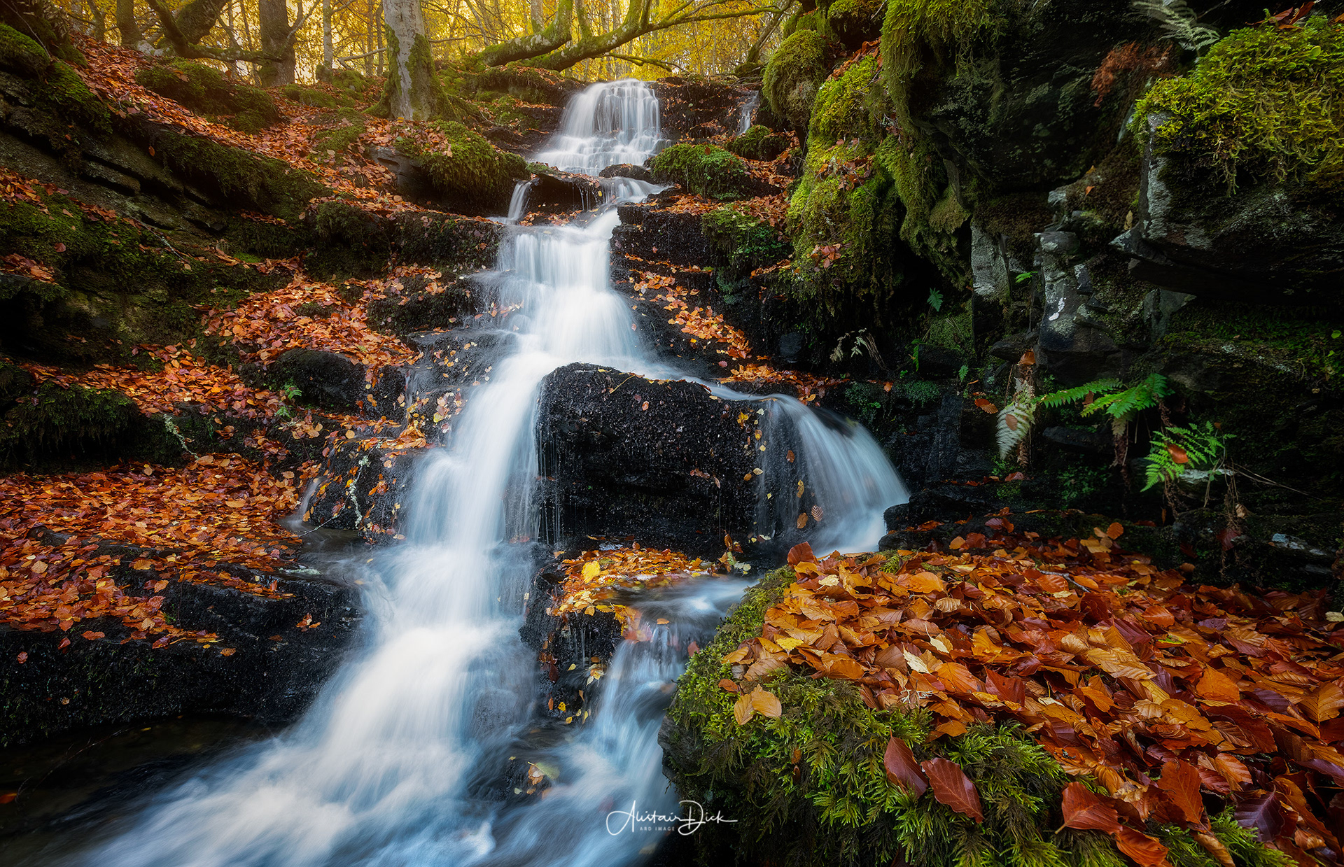 Birks of Aberfeldy