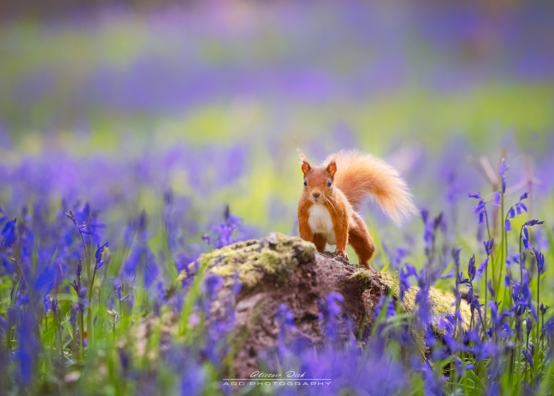 Perthshire