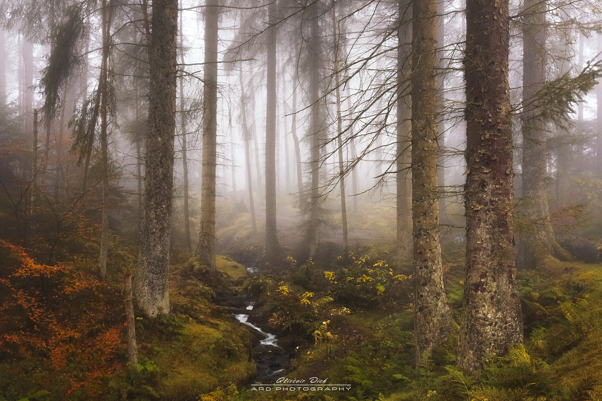 Beecraigs
