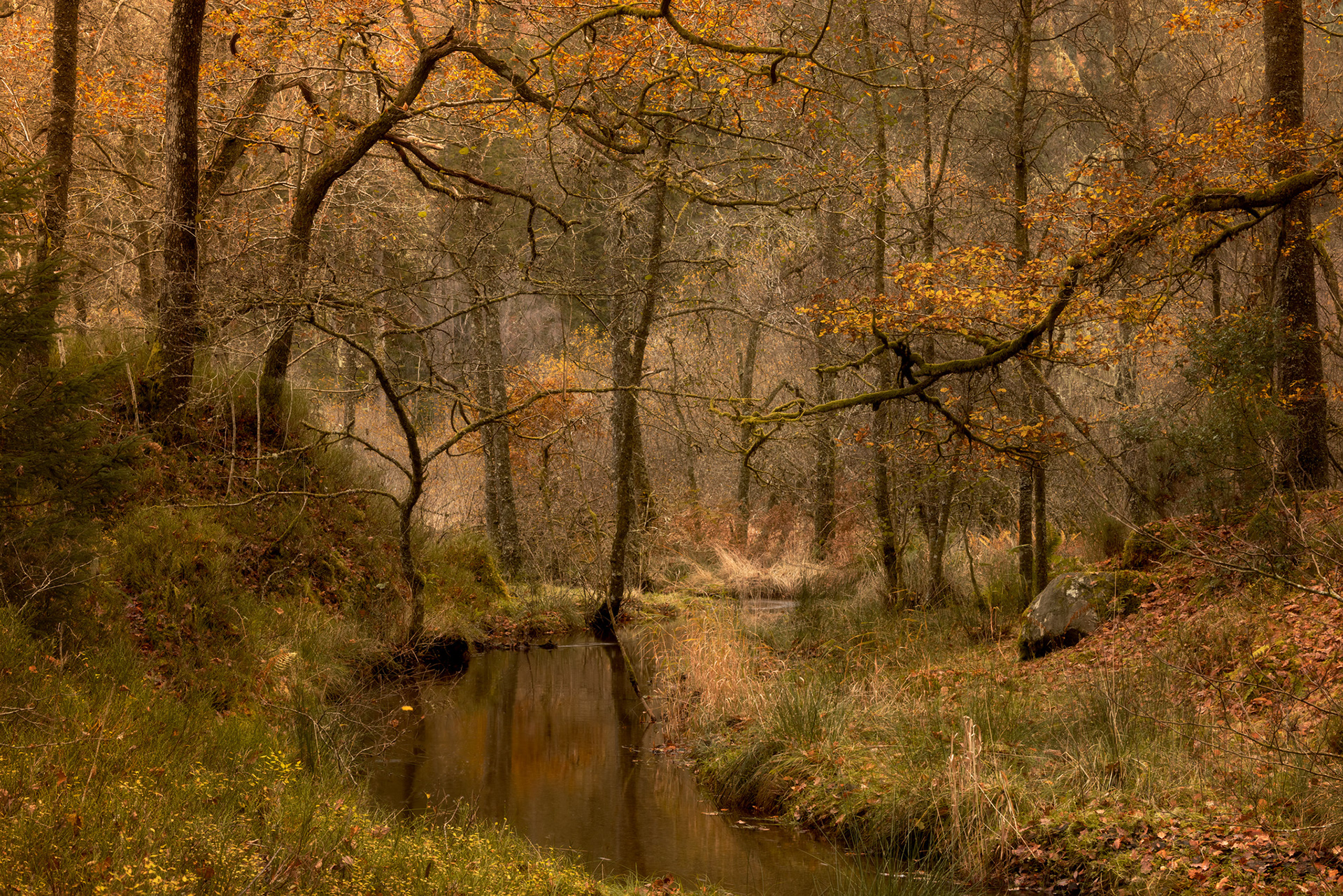 Loch Ard