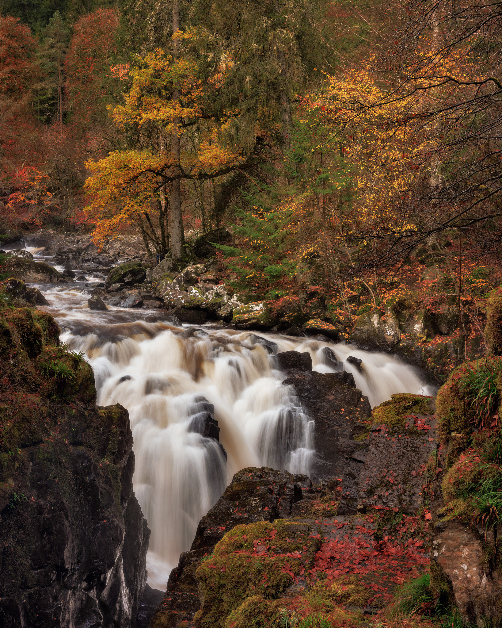River Braan