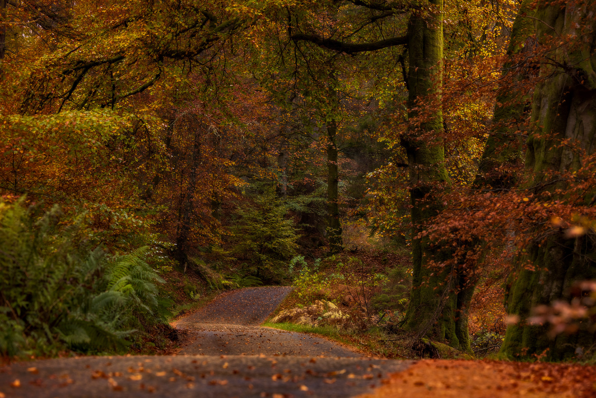Strathyre