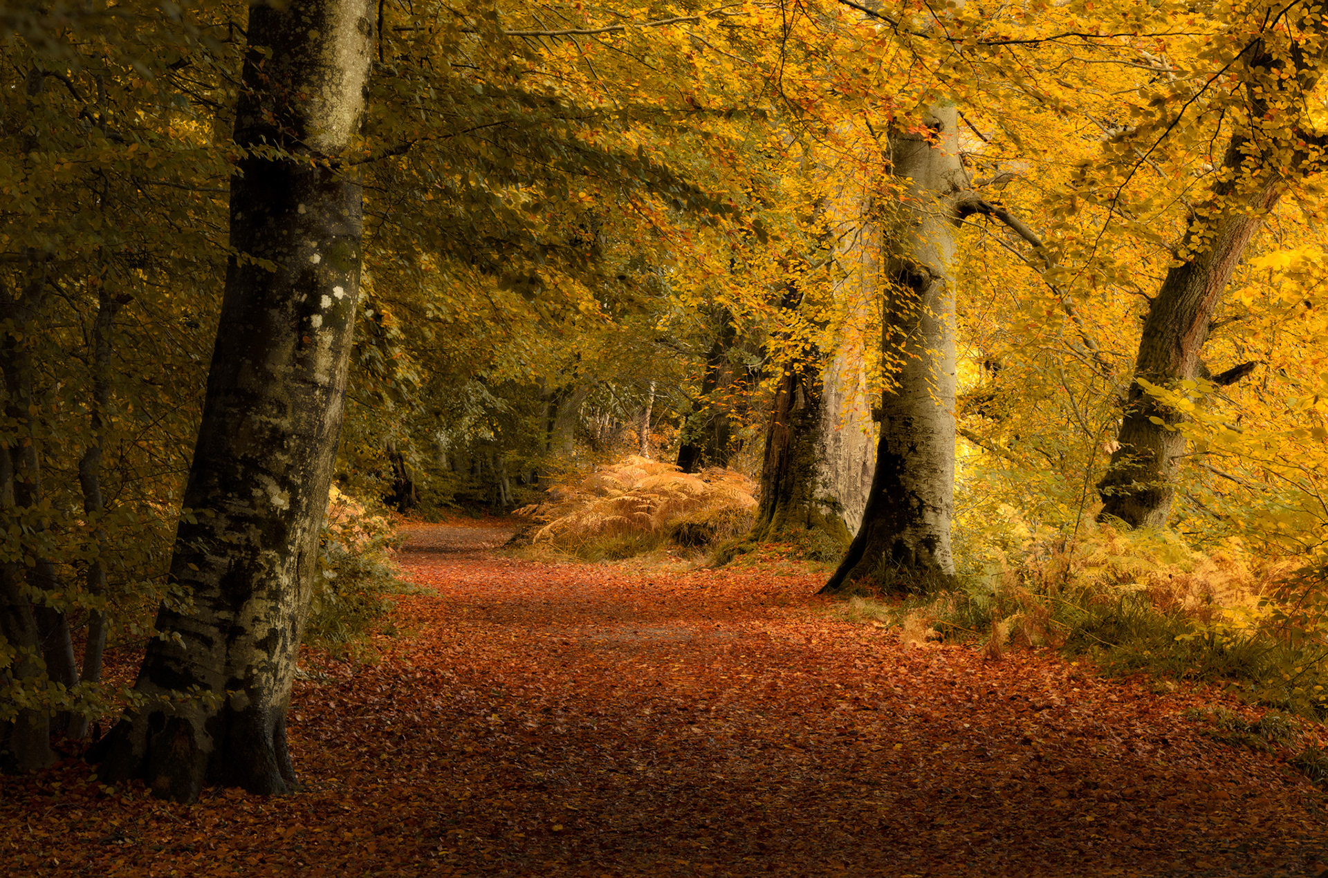 Crieff
