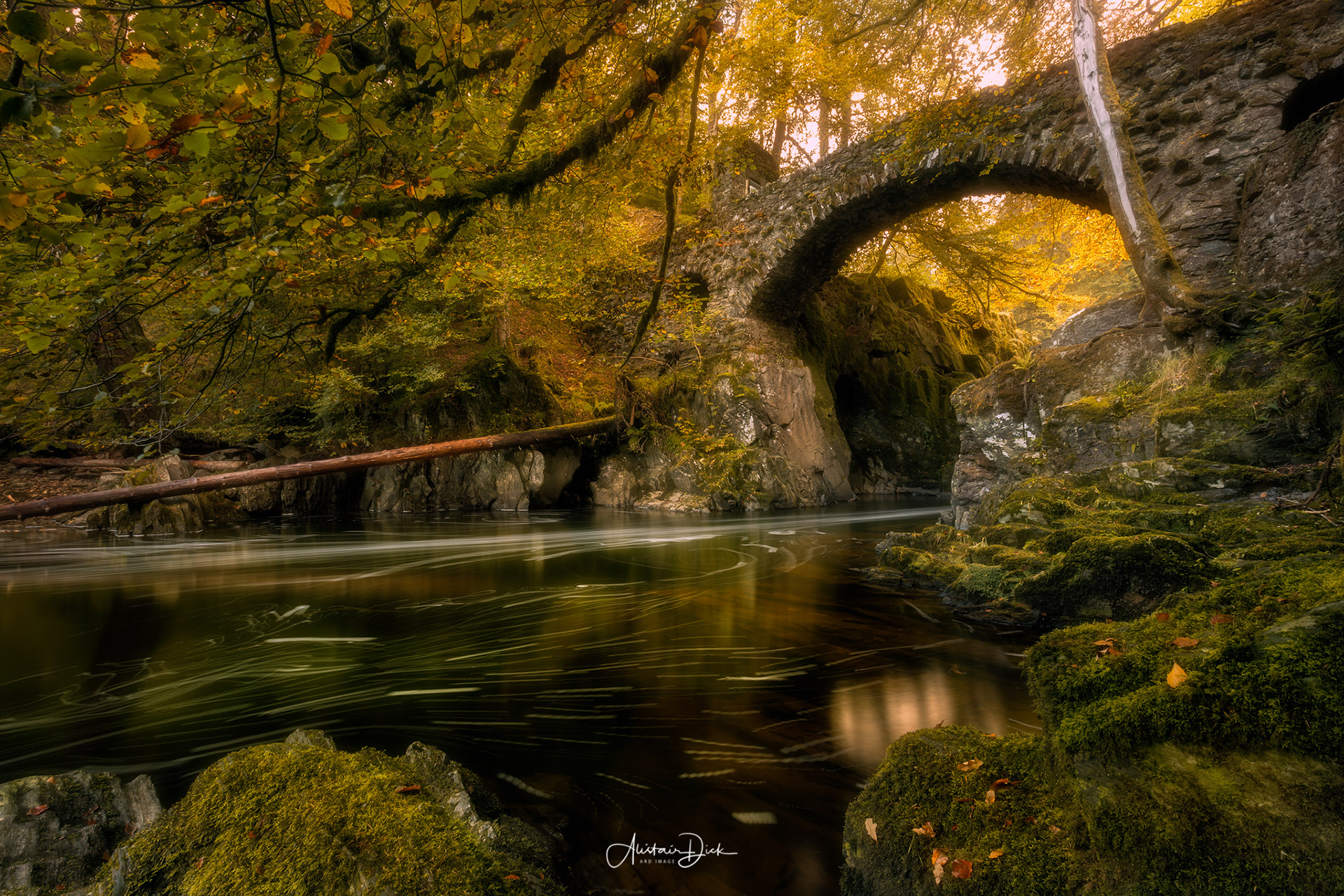 The Hermitage