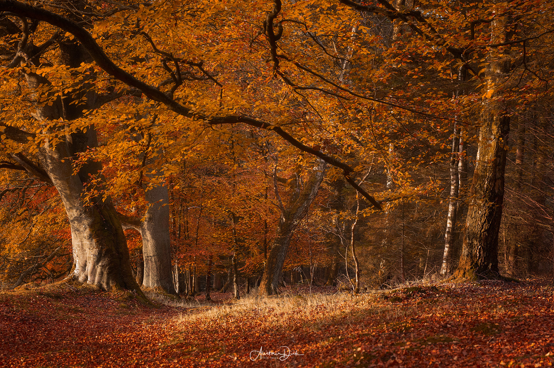 Stirlingshire
