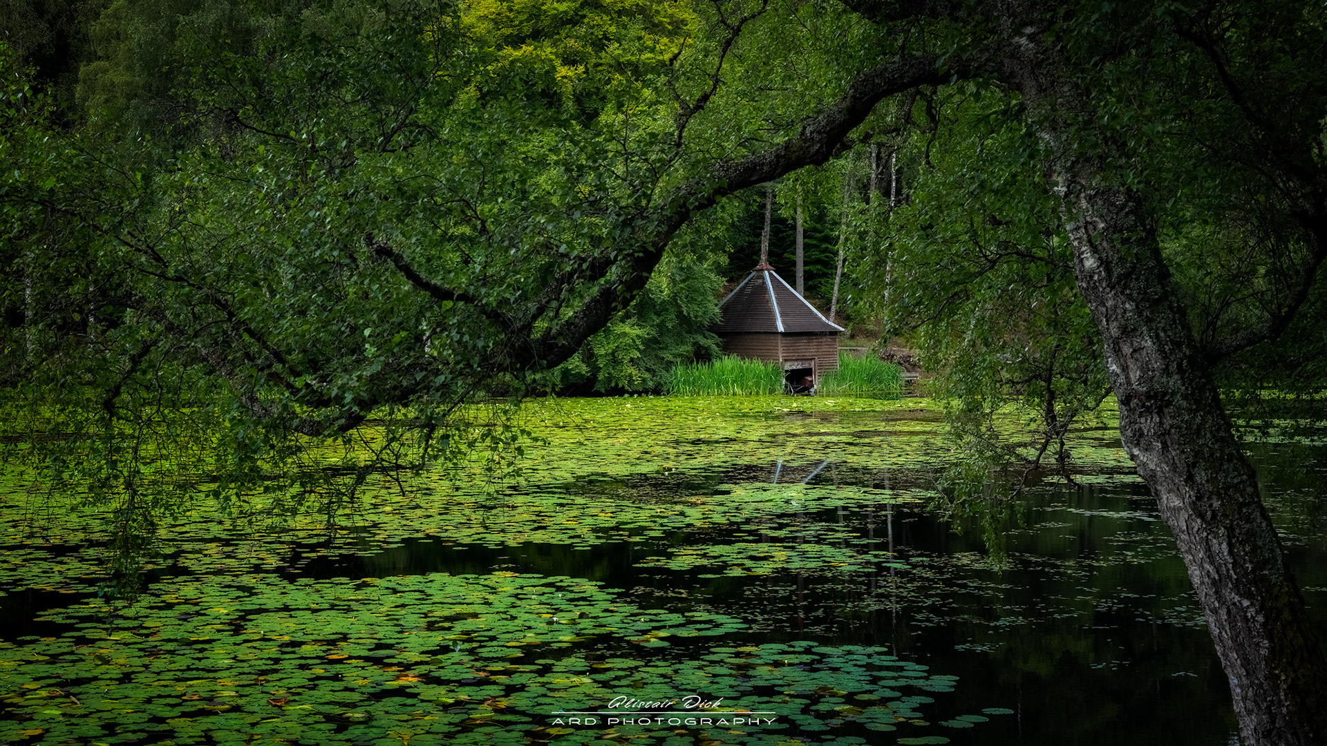 Loch Dunmore
