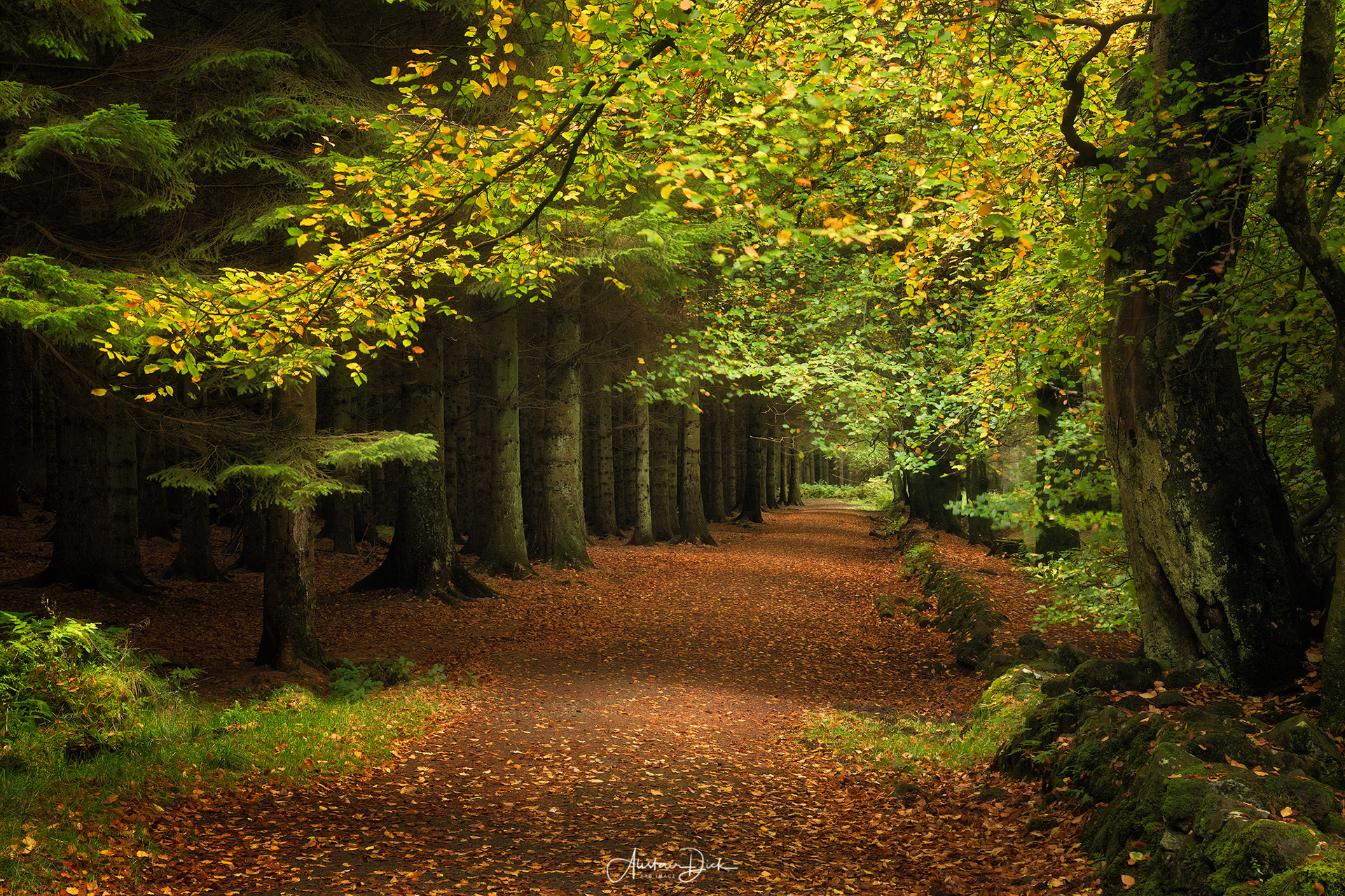 Beecraigs