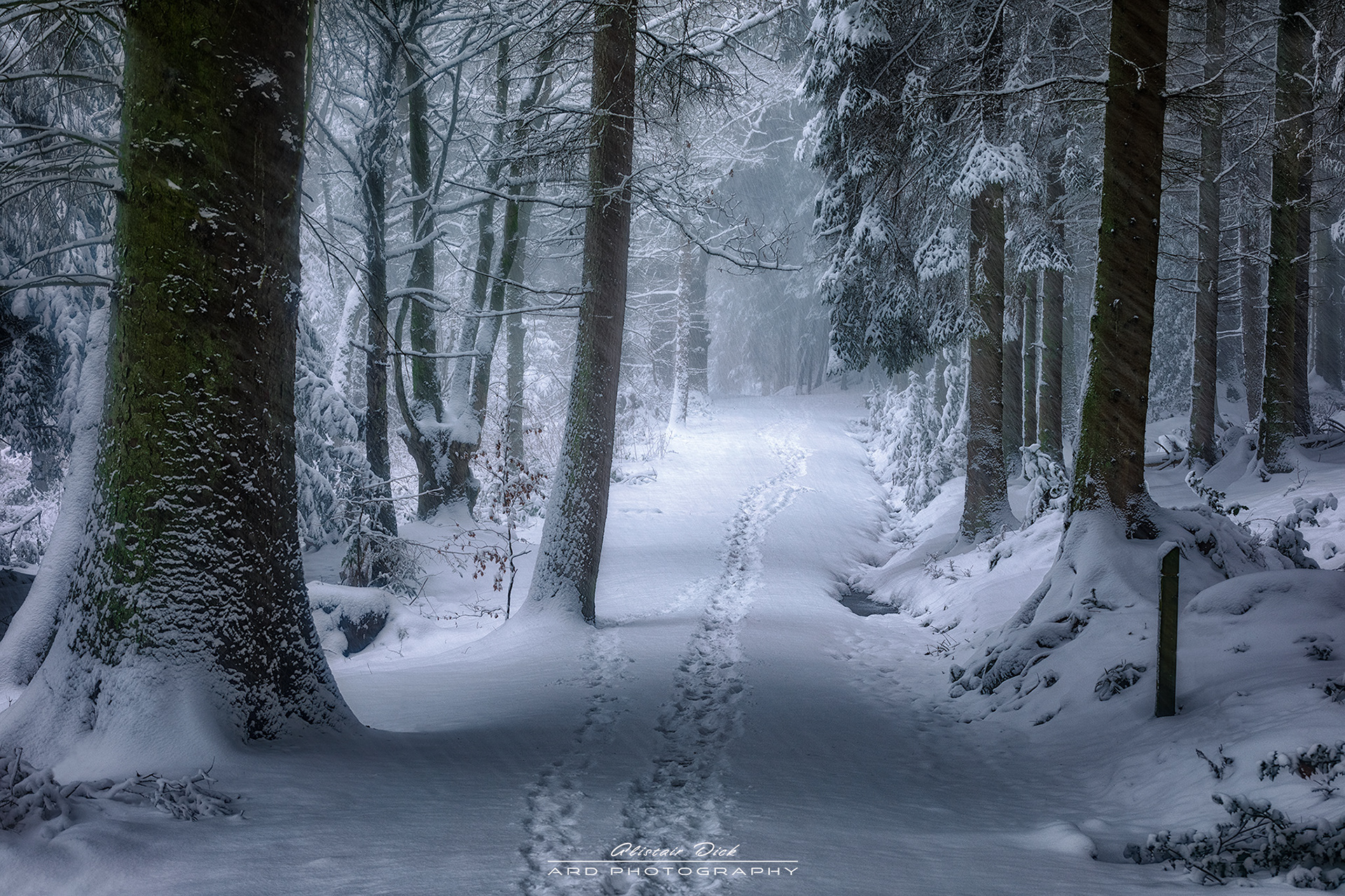 Callendar Park