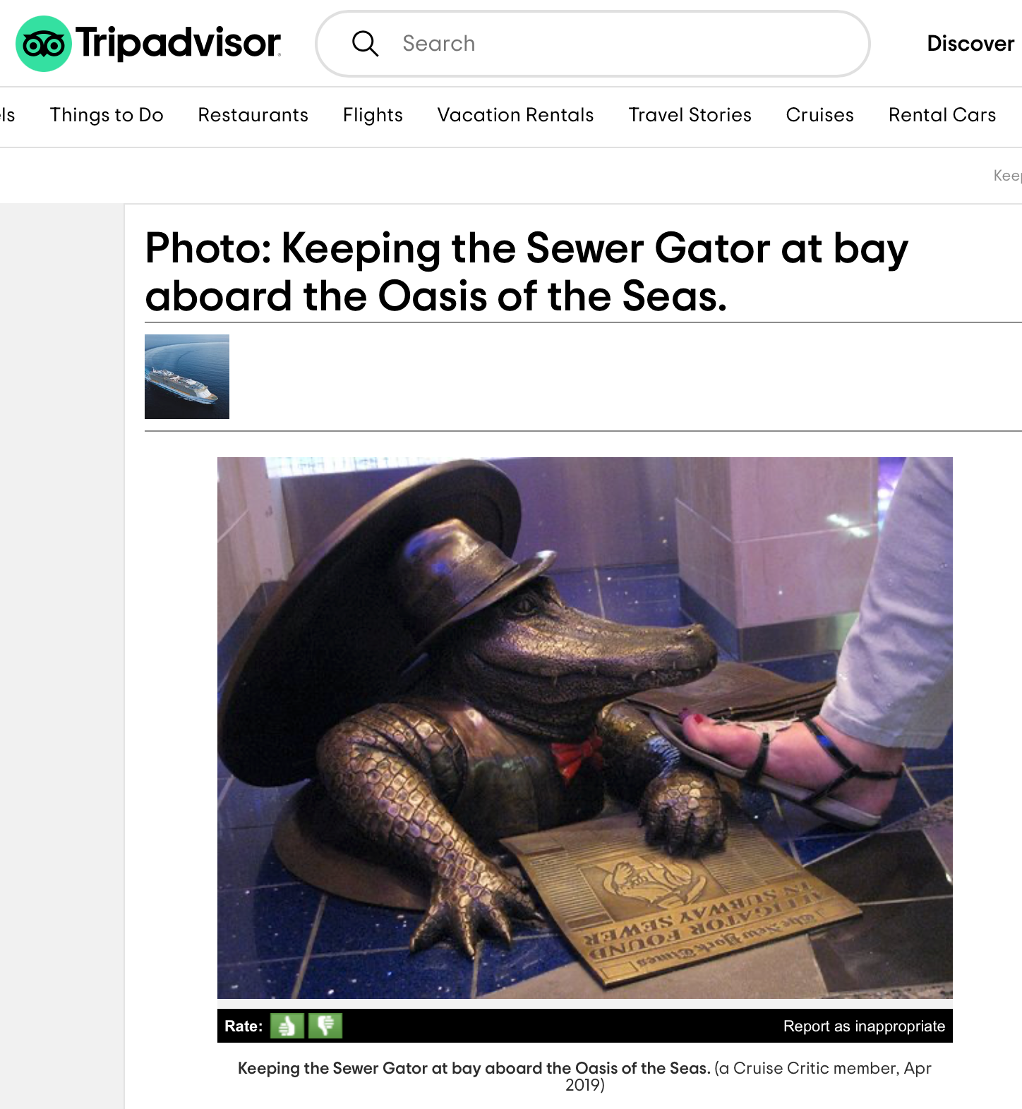 A screenshot from Tripadvisor, featuring the alligator sculpture