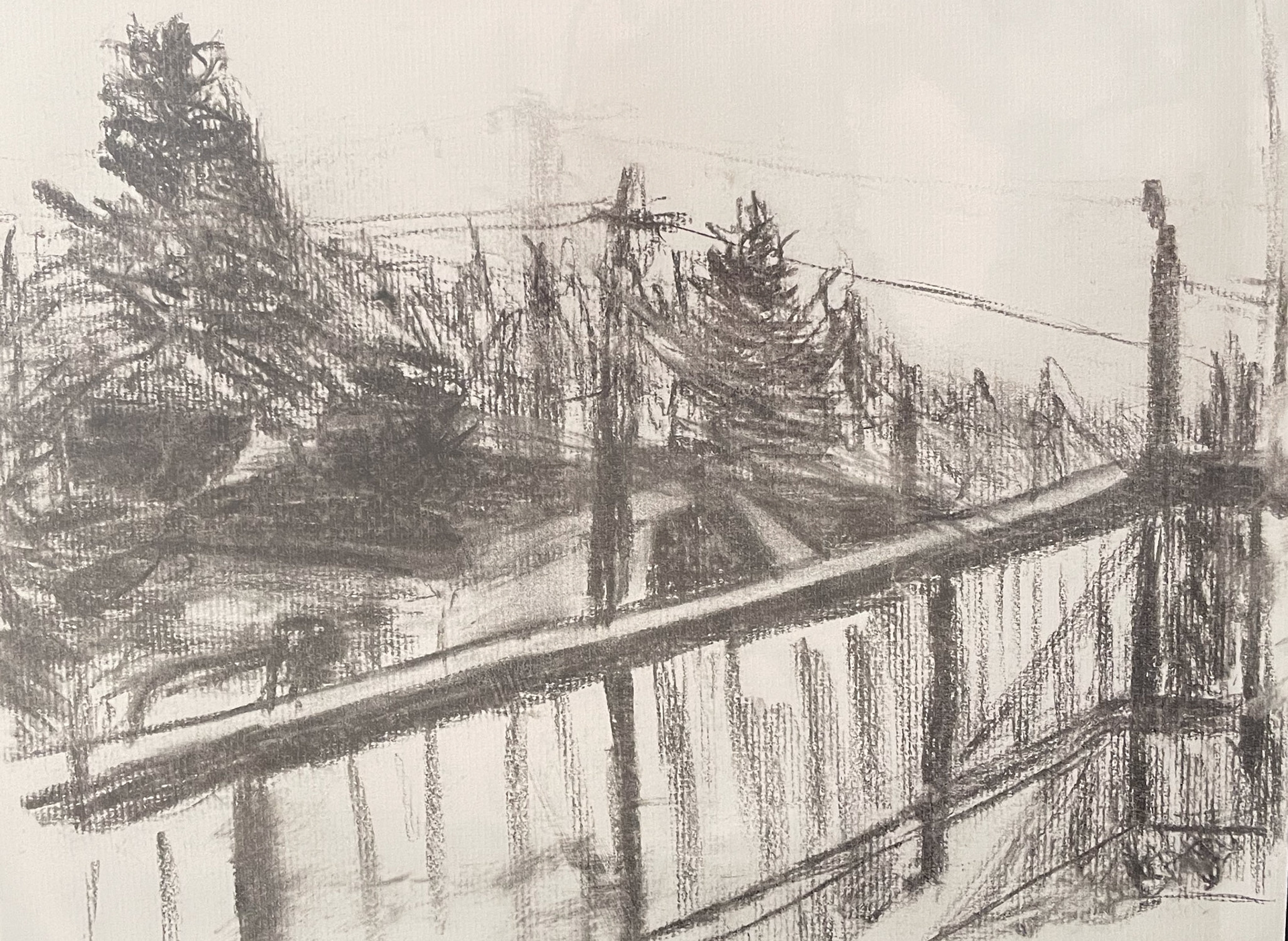 charcoal on paper