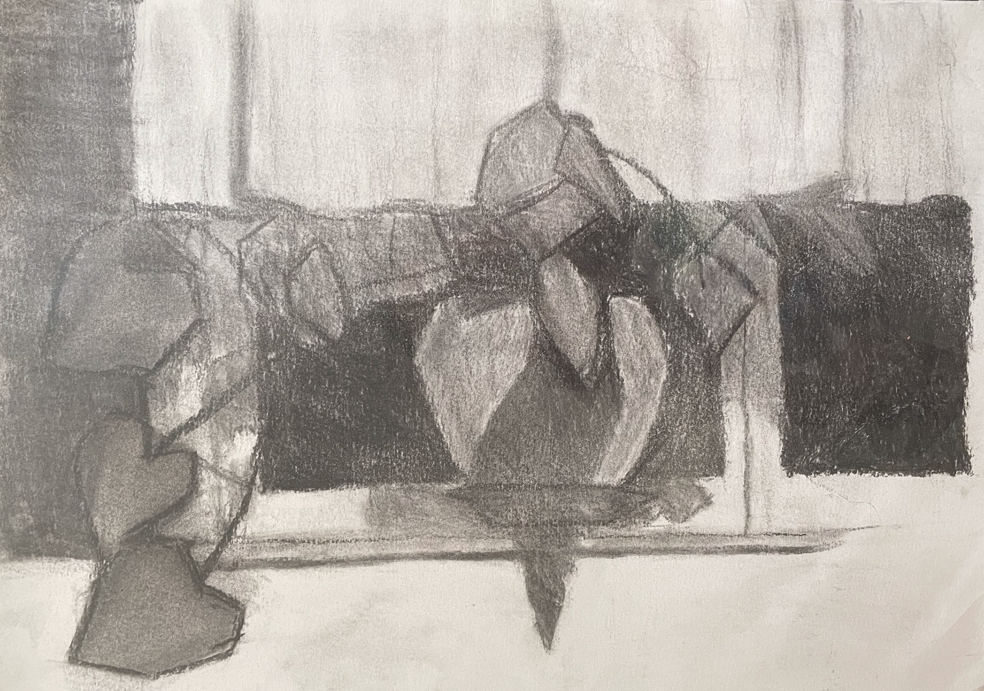 leaves, charcoal on paper