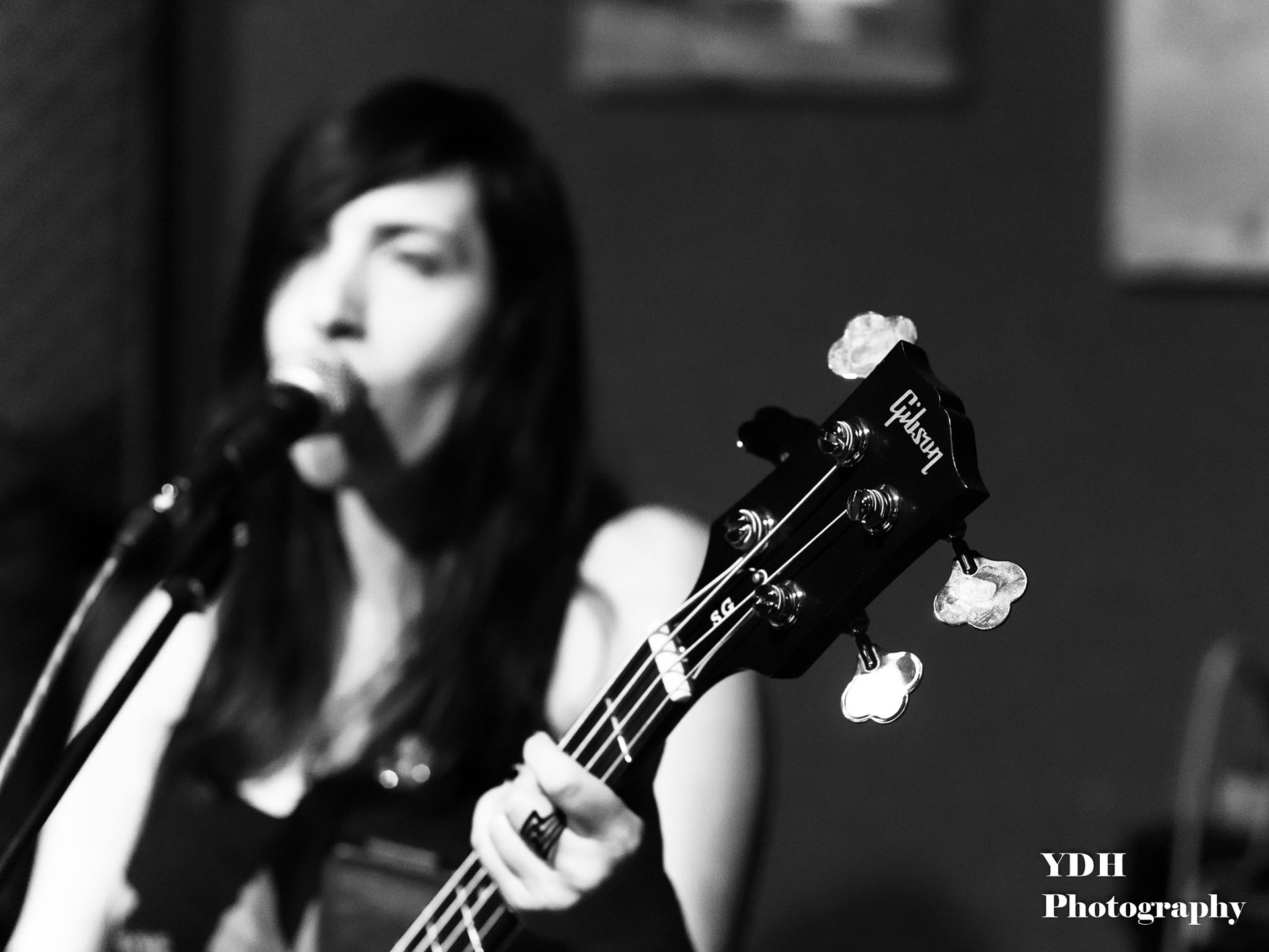 Tal Lotan - Gibson