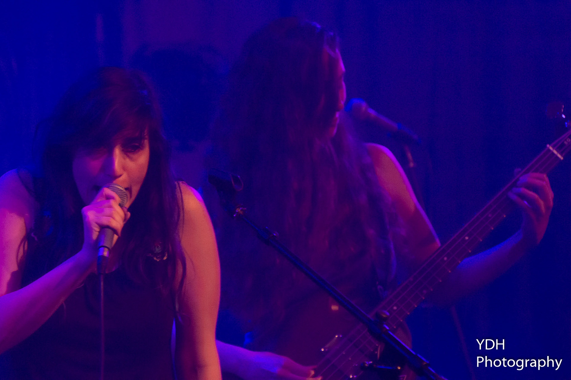 Tal Lotan & The band