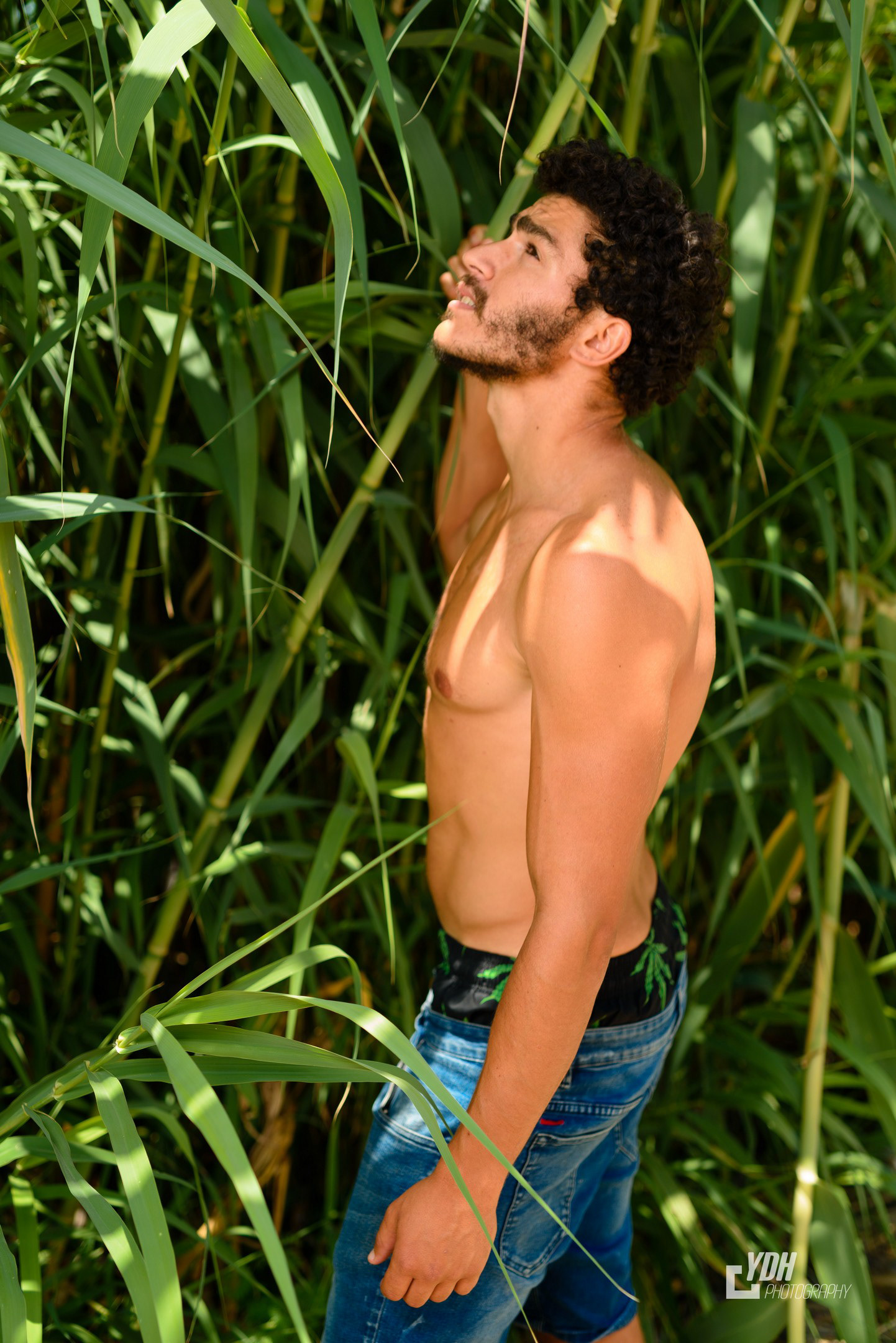 Yinon SimanTov