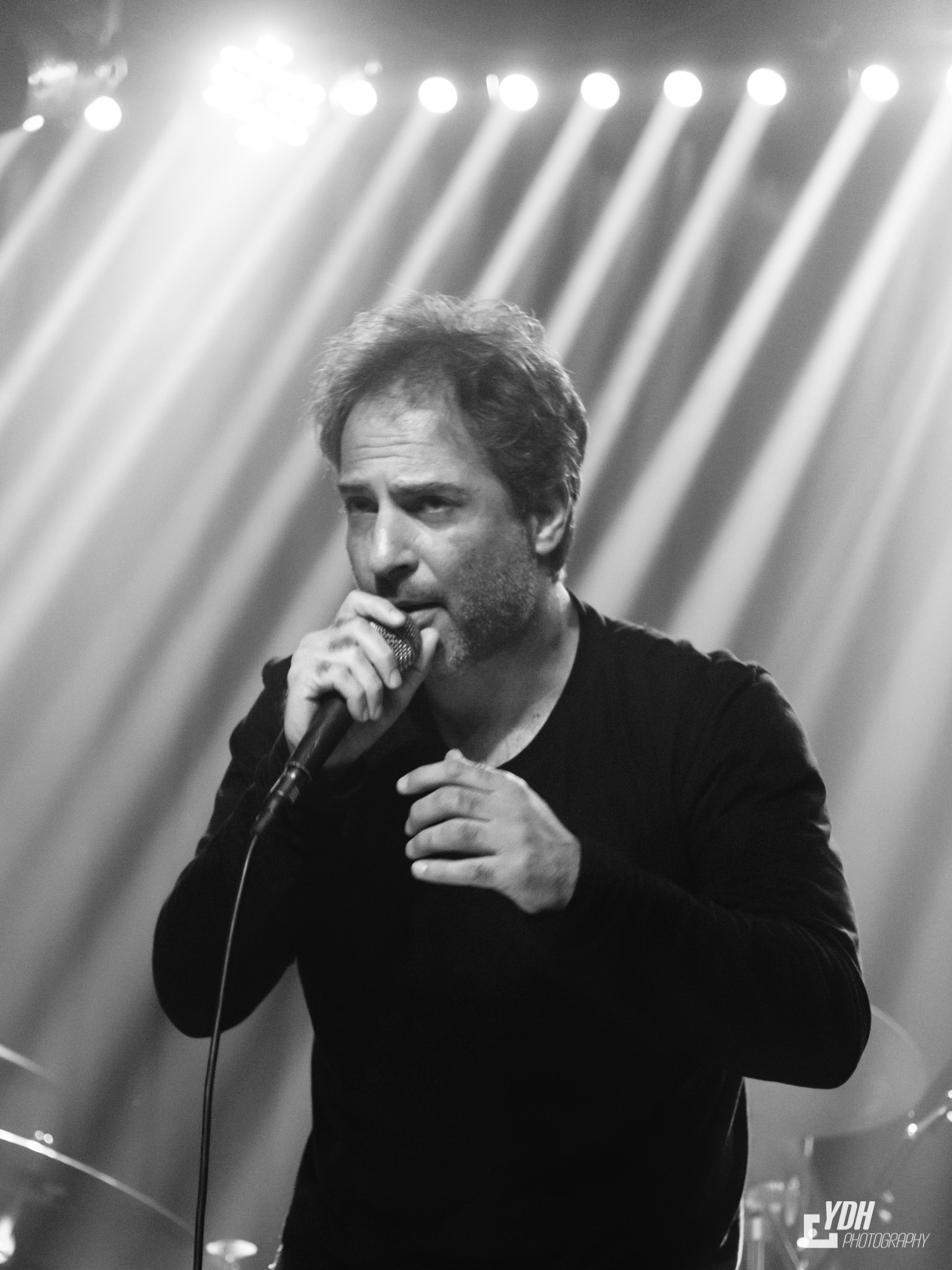 Amir Gavriel
