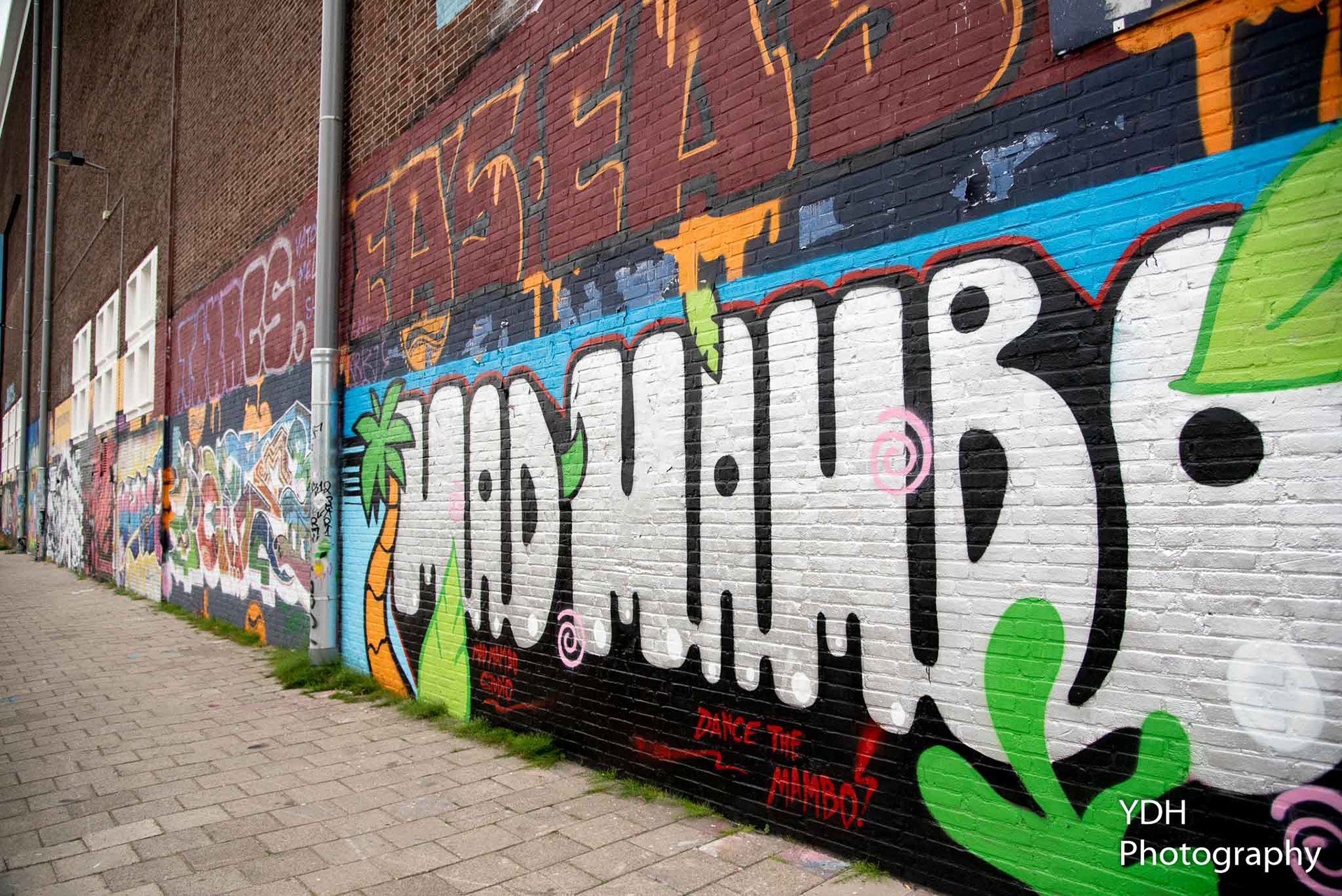 NDSM Graffity
