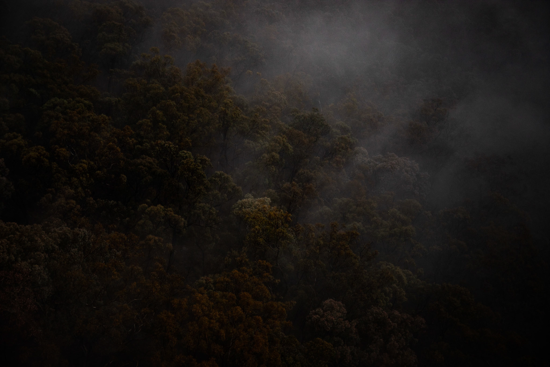Black Mountain #3