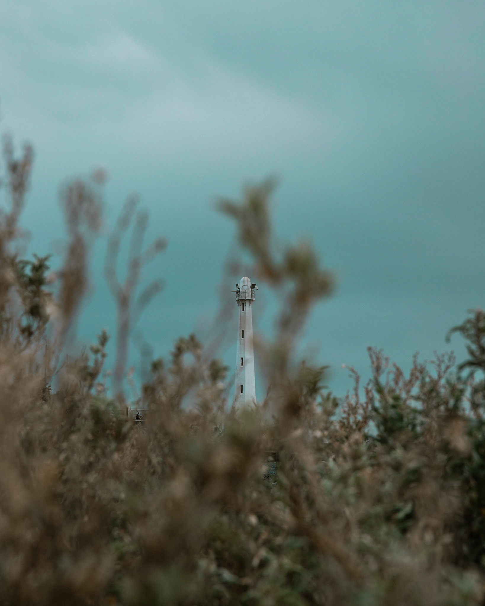 St Kilda #4