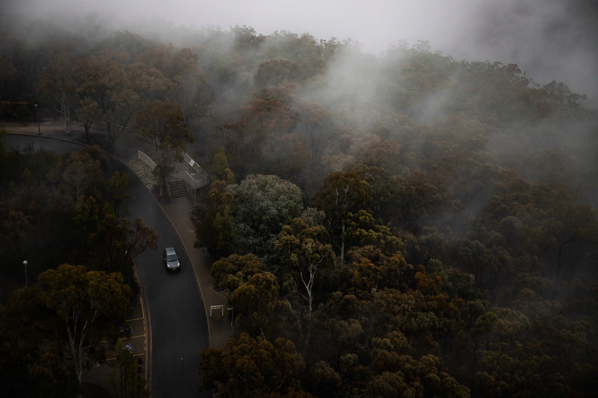 Black Mountain #1