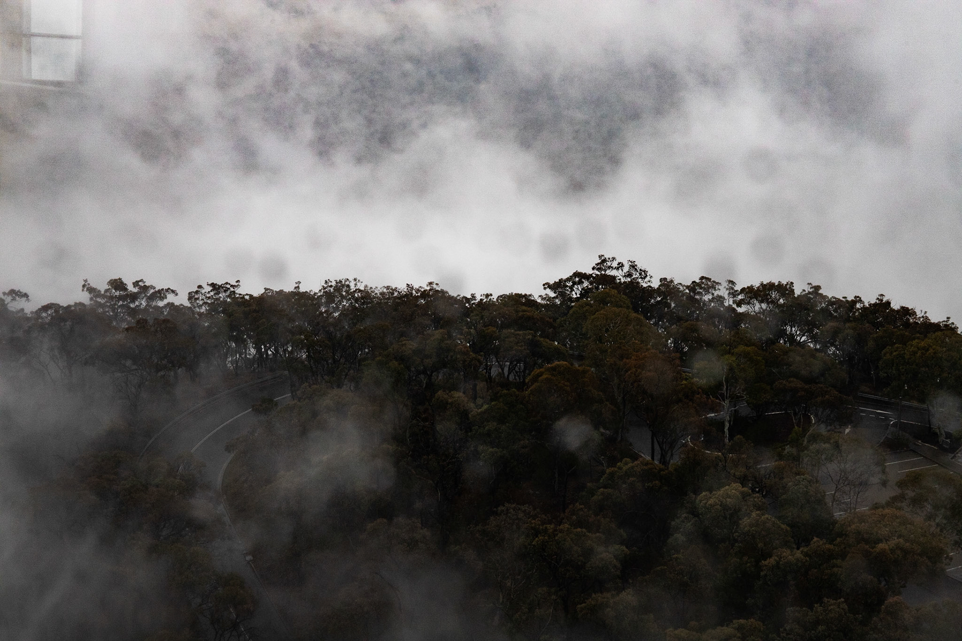 Black Mountain #5