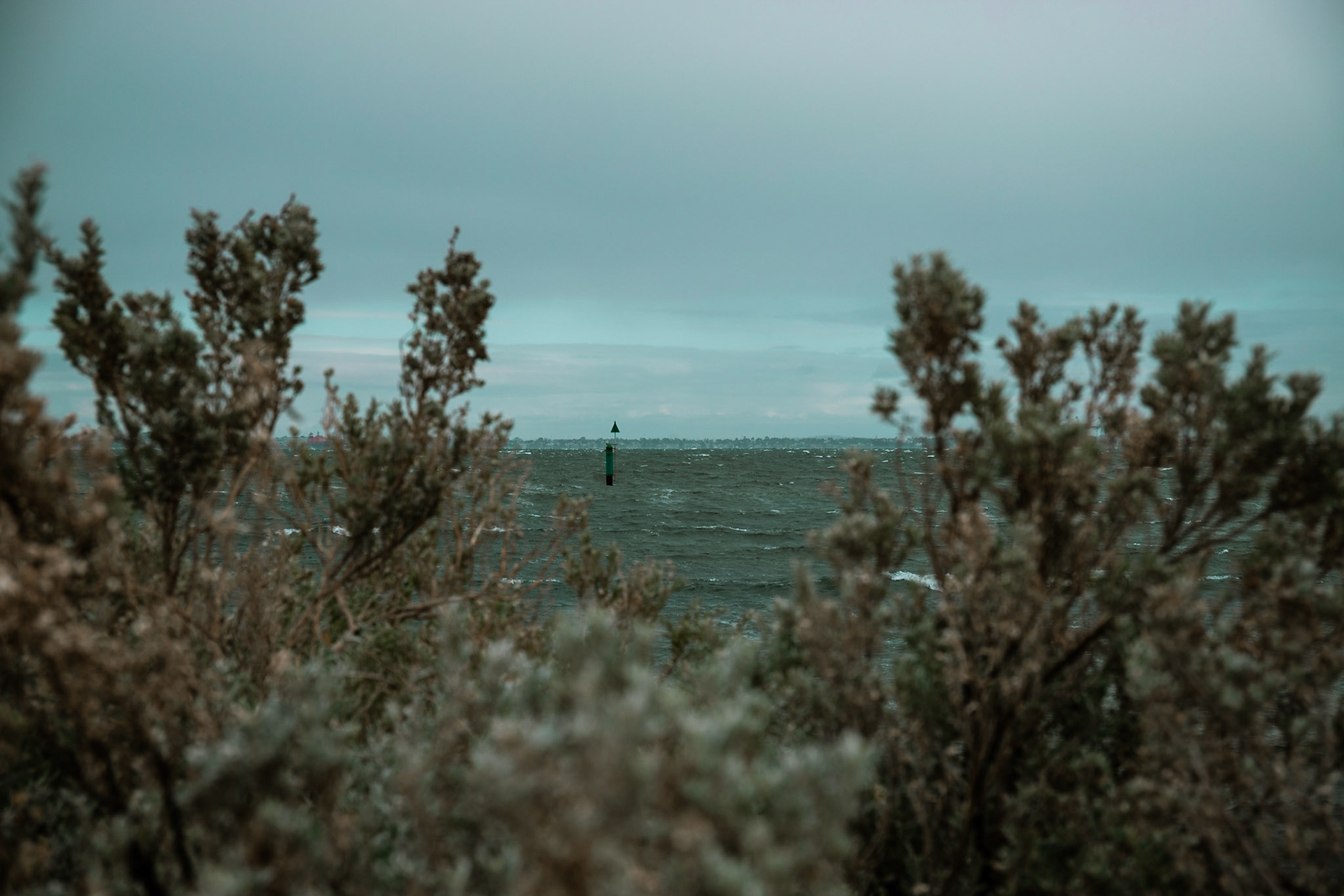 St Kilda #6