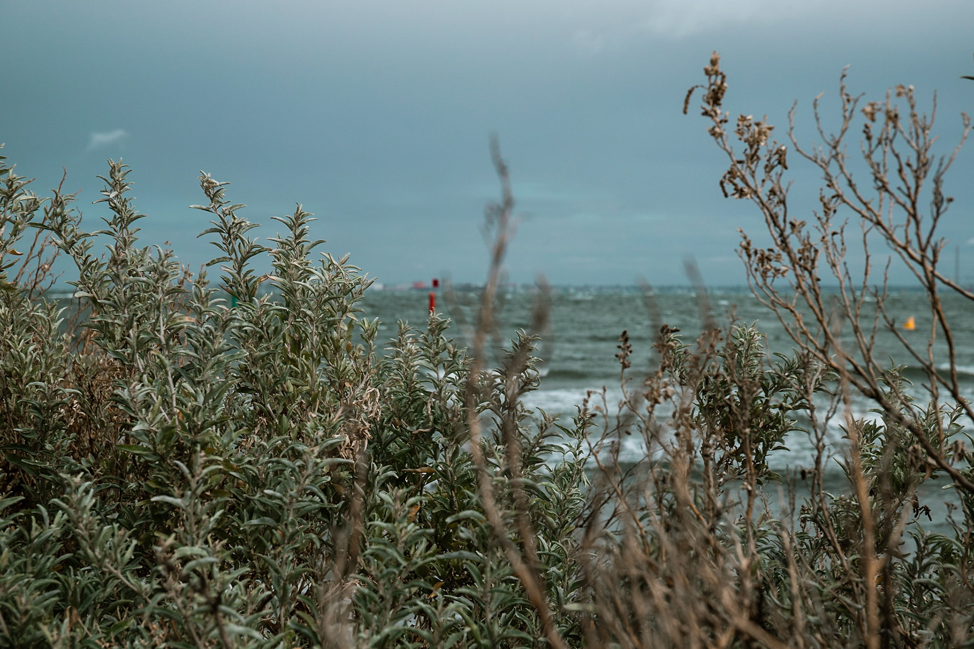 St Kilda #1