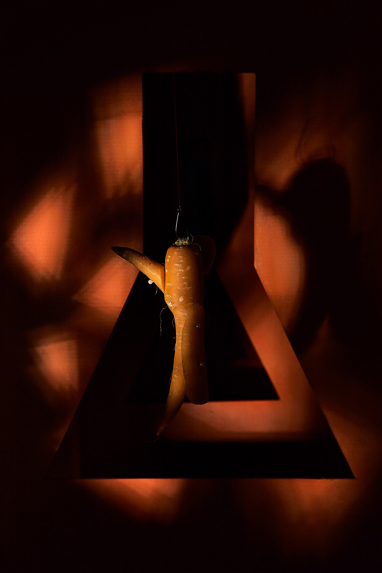 "Carrot"