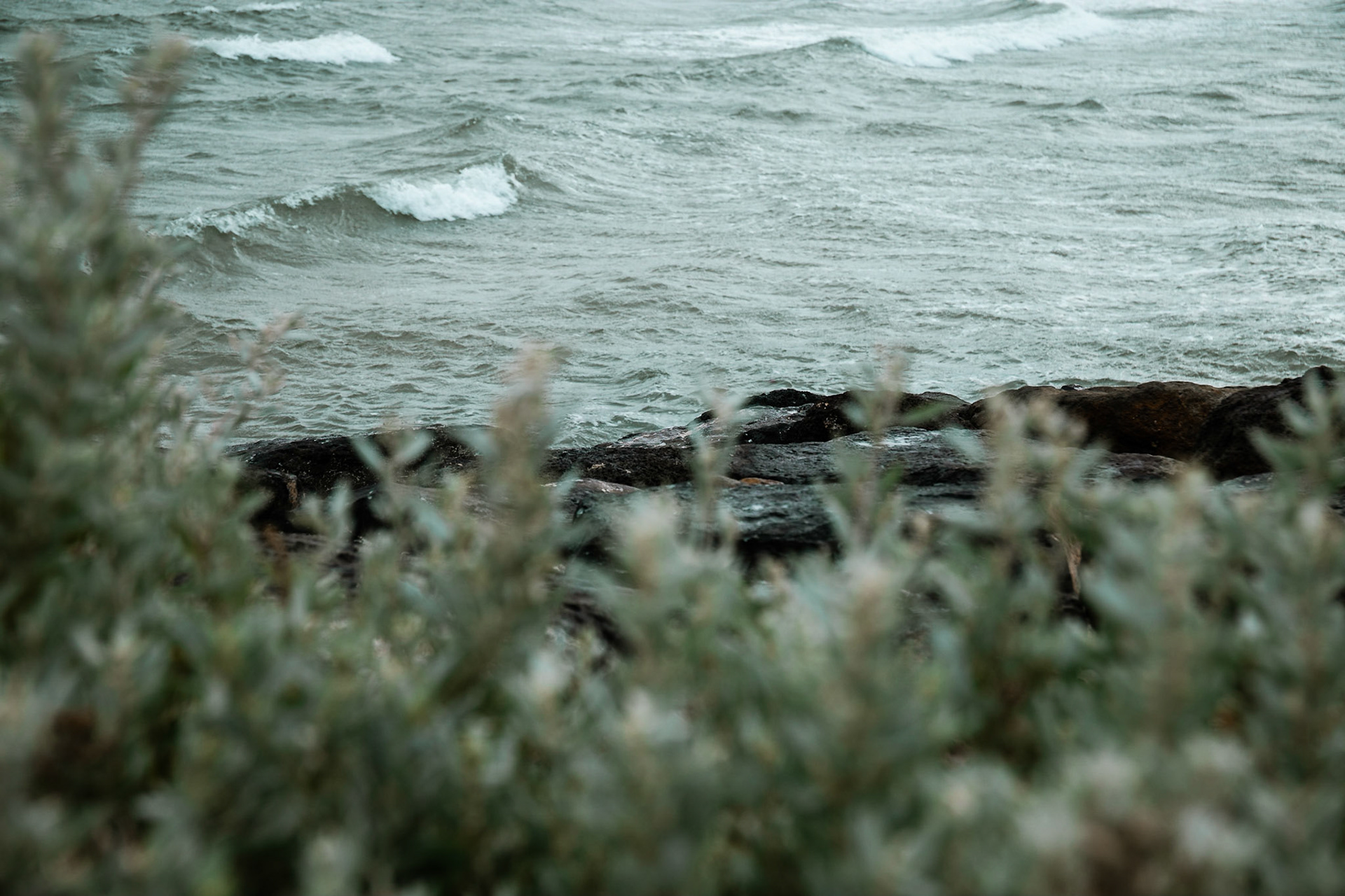 St Kilda #5
