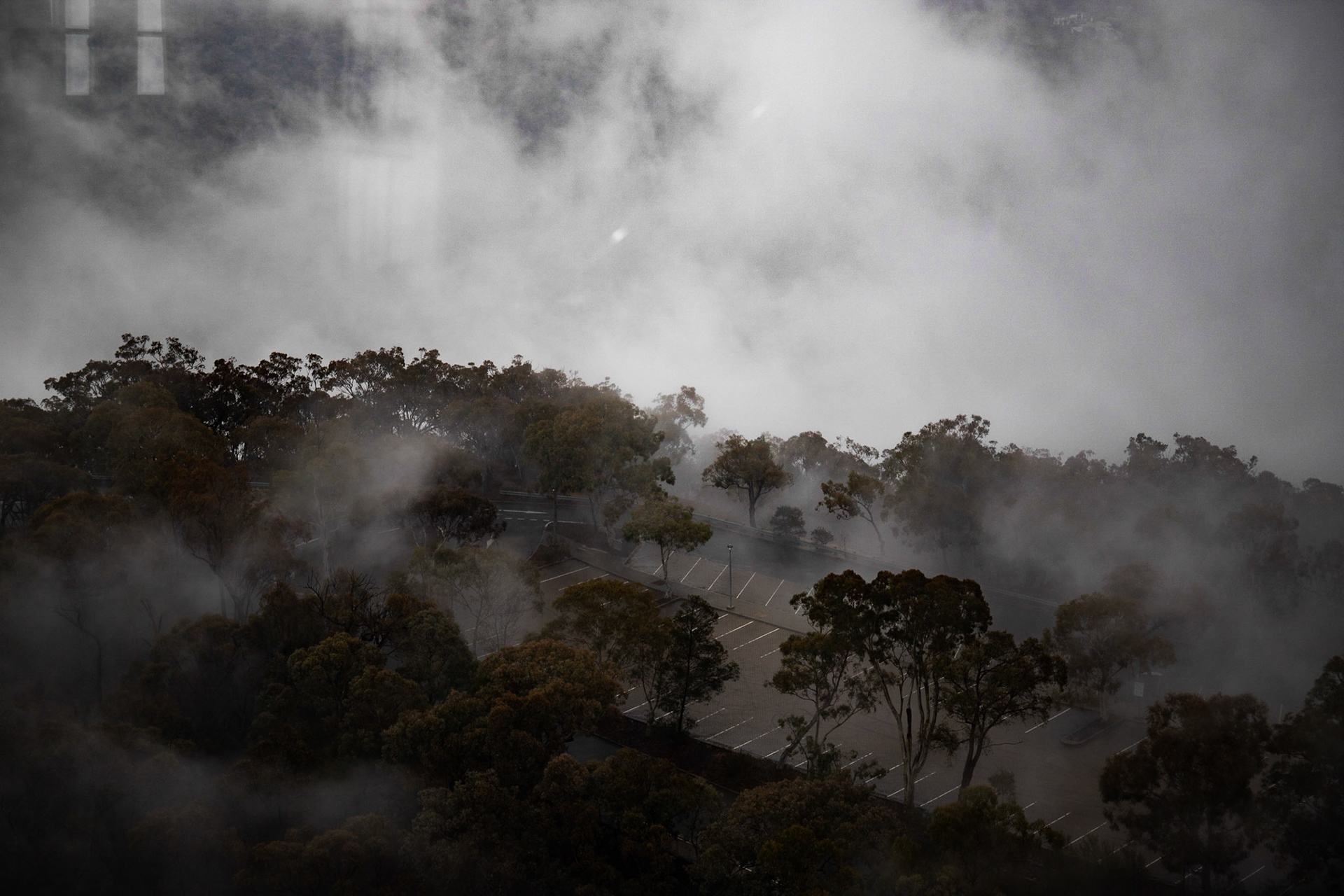 Black Mountain #4