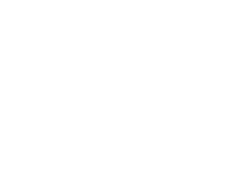 Estudio b31