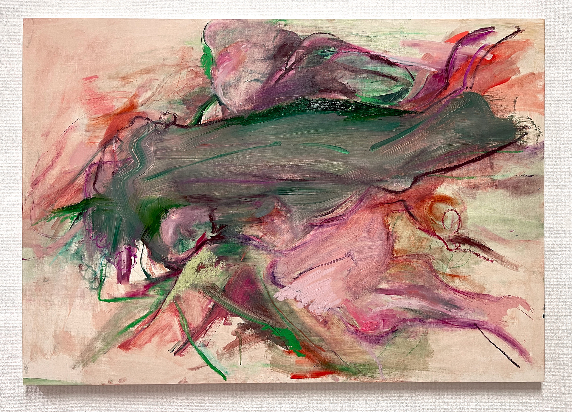 Pastel, oil on canvas 100×70cm Untitled 2025