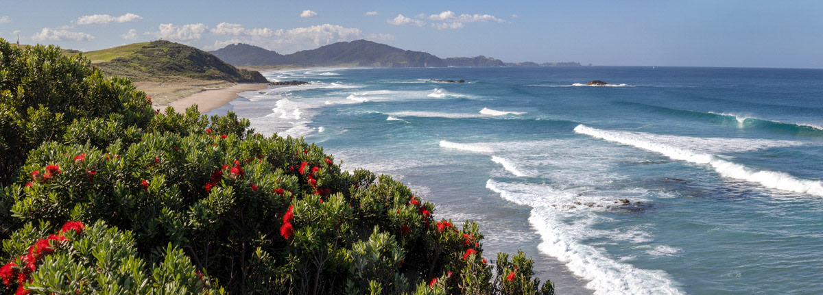 Proctors and Kauri Mt Beach