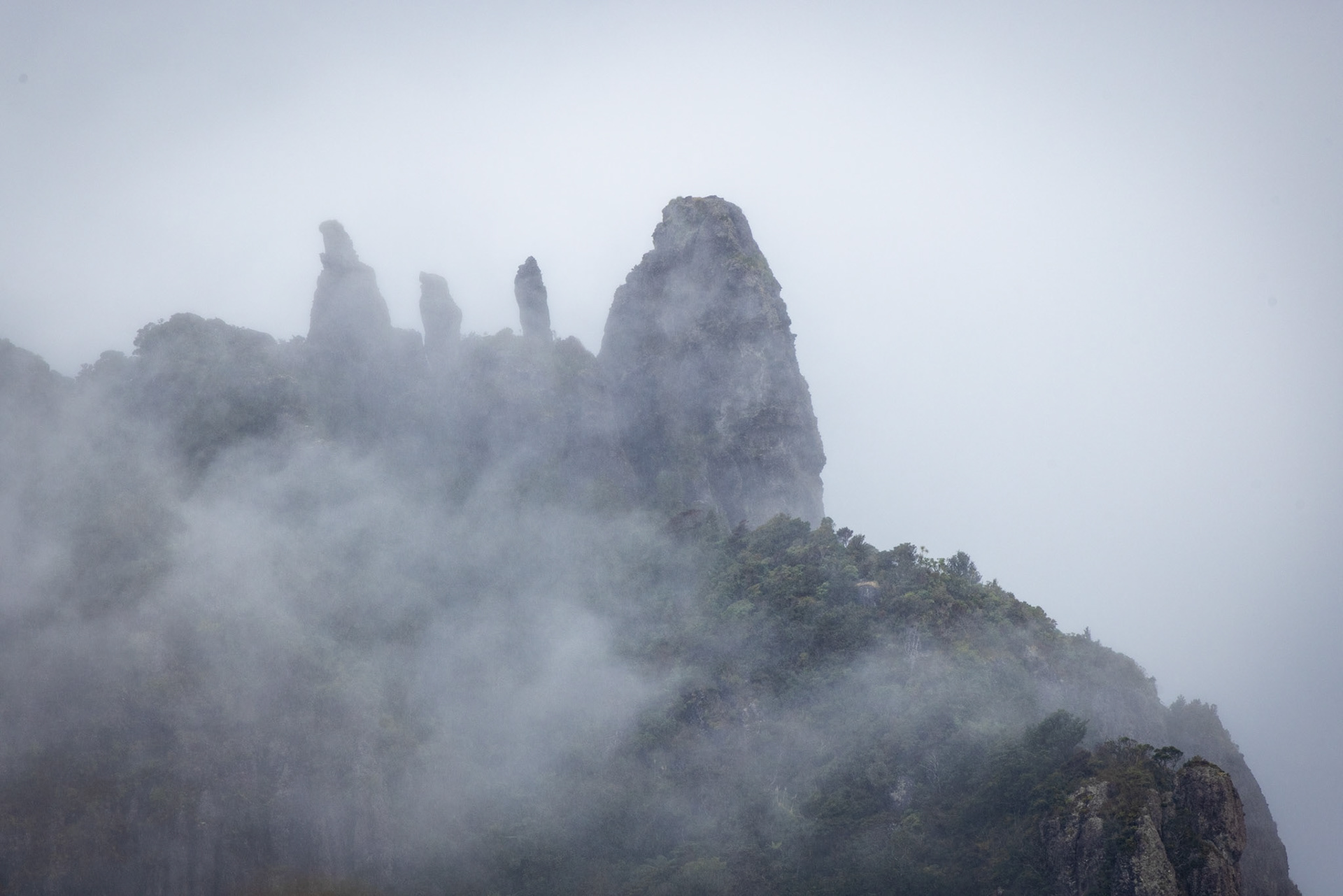 Manaia