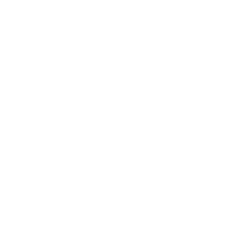 Camden Koester