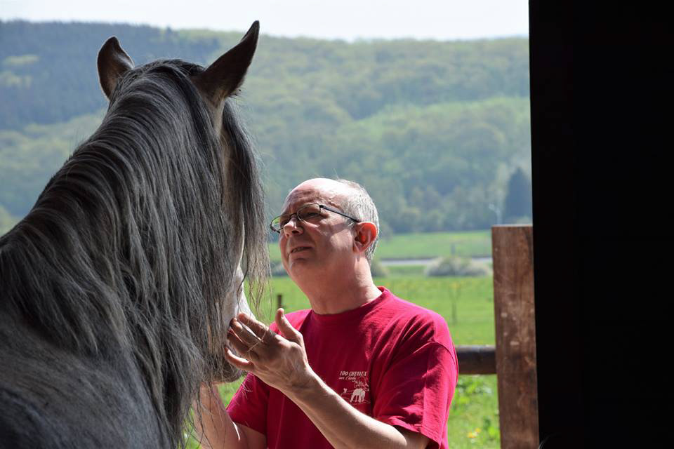 RESSENTIR LA DETRESSE DES EQUIDES....