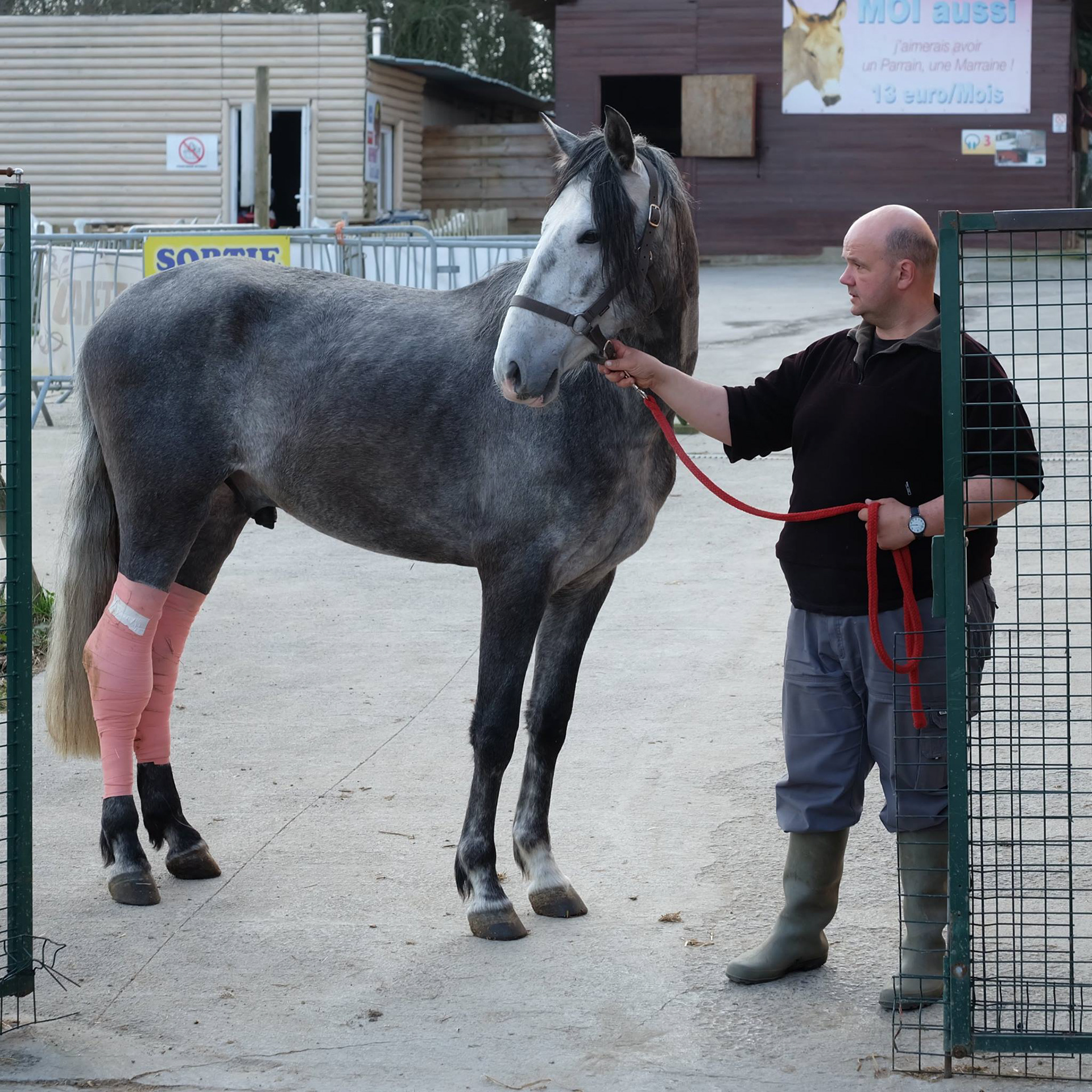 RODRIGO de retour de Clinique