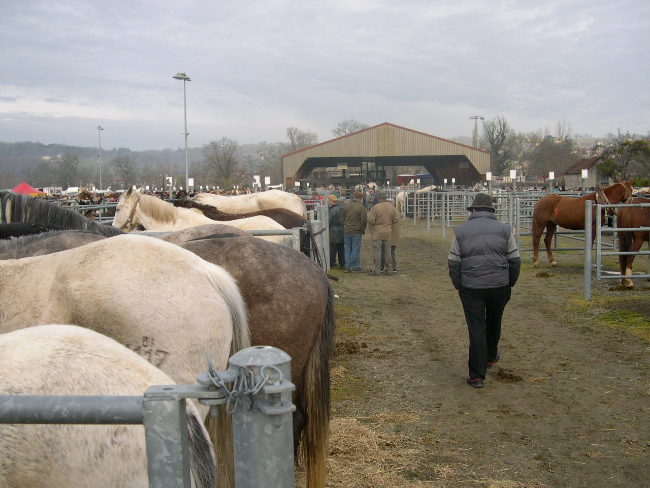 UN MARCHE OU SONT REUNIS LES CONDAMNES DU JOUR PRESENTES AUX BOUCHERS