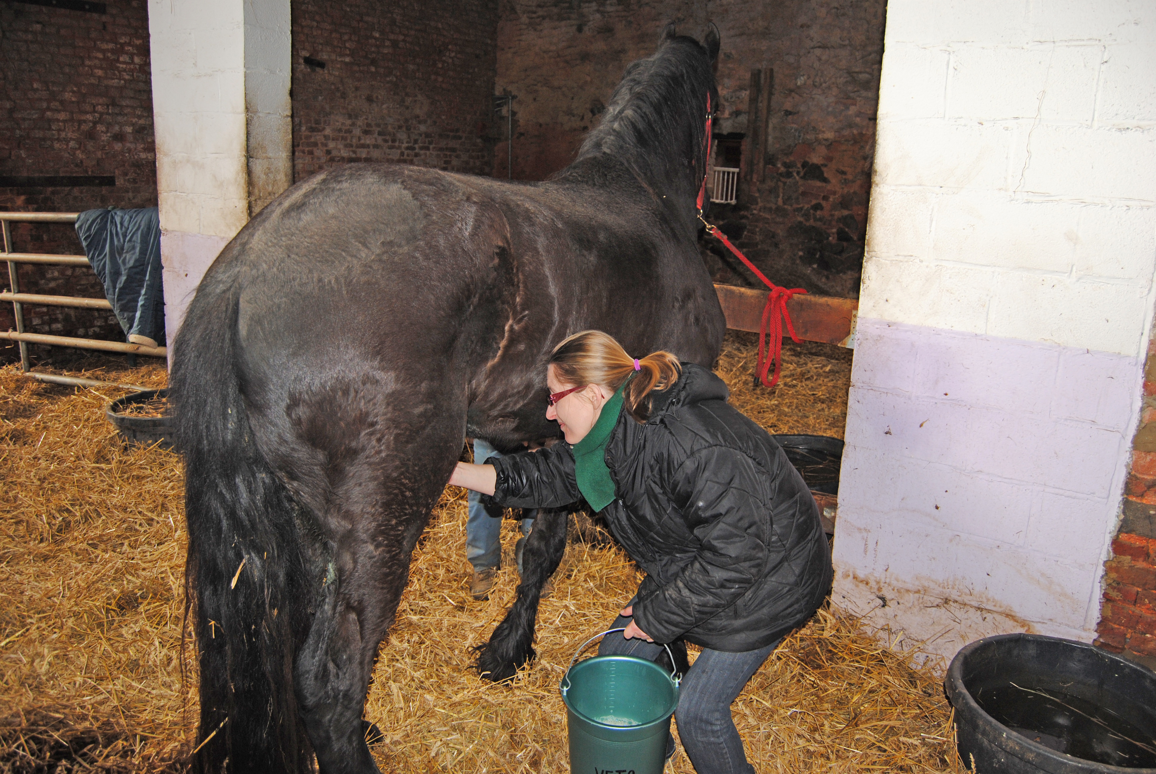 Chaque protégé est entouré des soins les plus appropriés au refuge.   