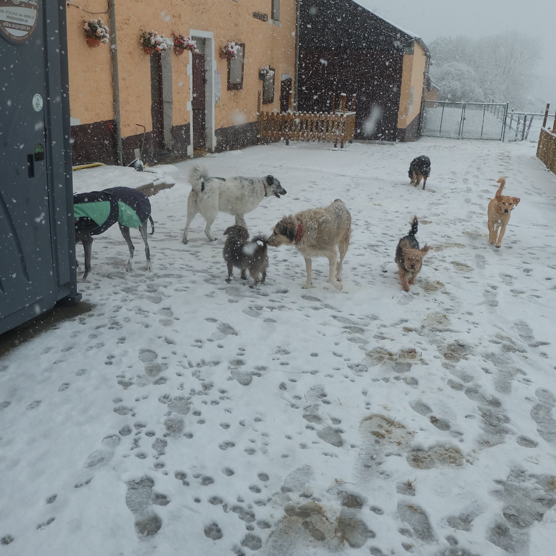 Moment détente dans la neige