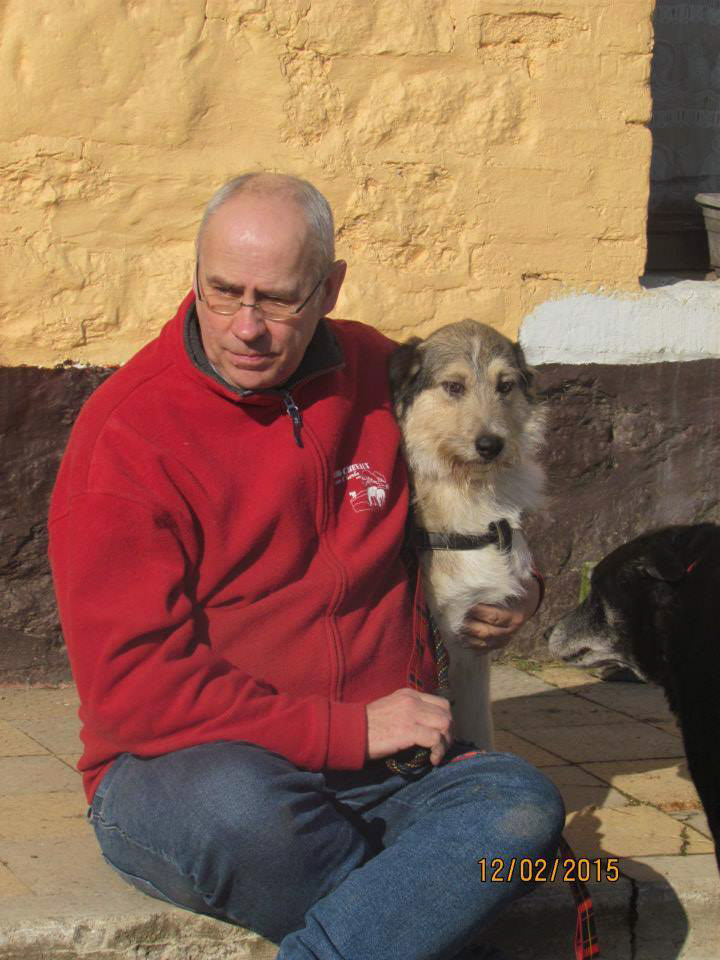 14 chiens vivent aussi au Refuge. Ici PEPITA venant de Roumanie où les chiens sont massacrés