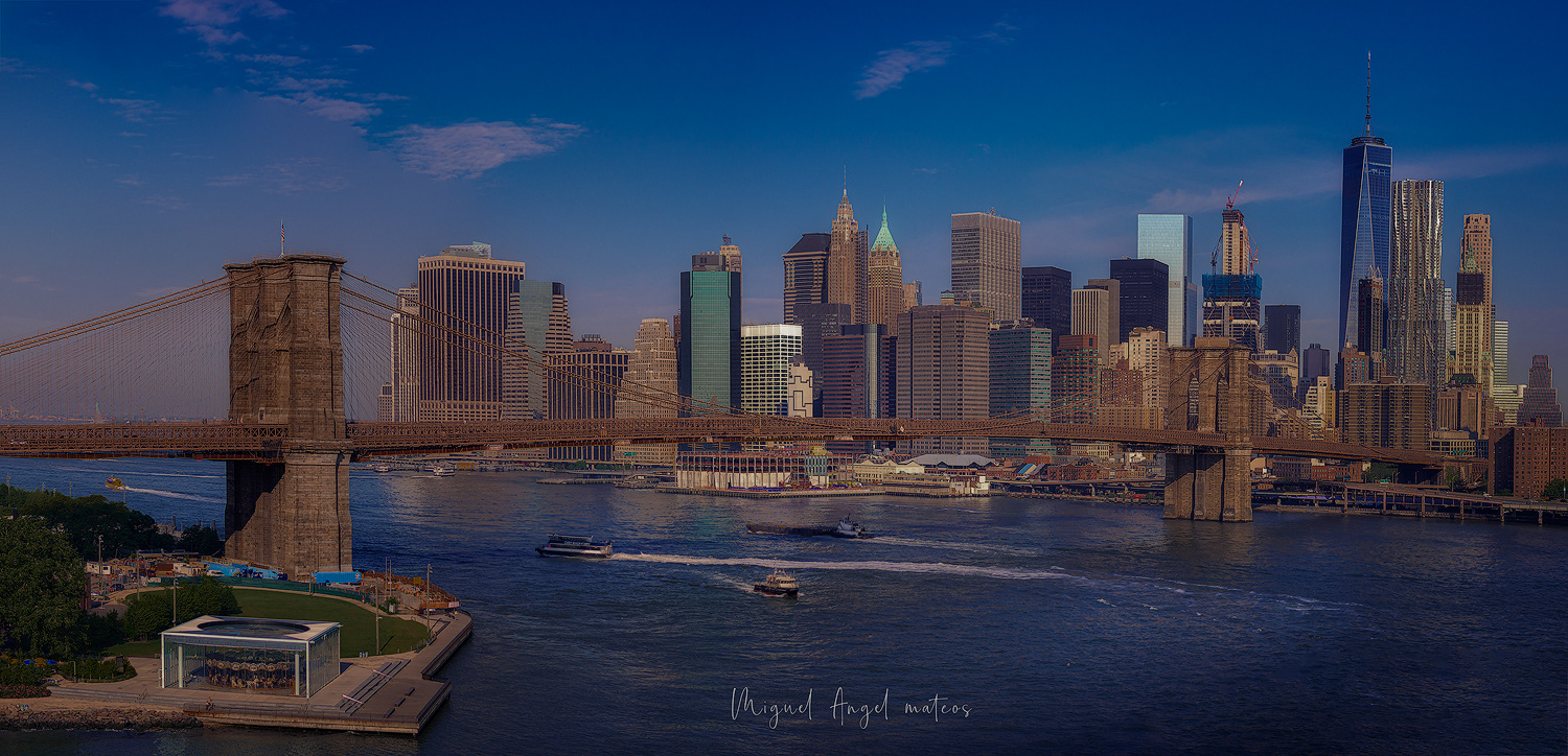 Manhattan & Brooklyn Bridge