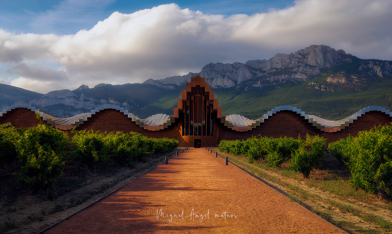 Bodega Ysios - La Guardia (Alava) 2018