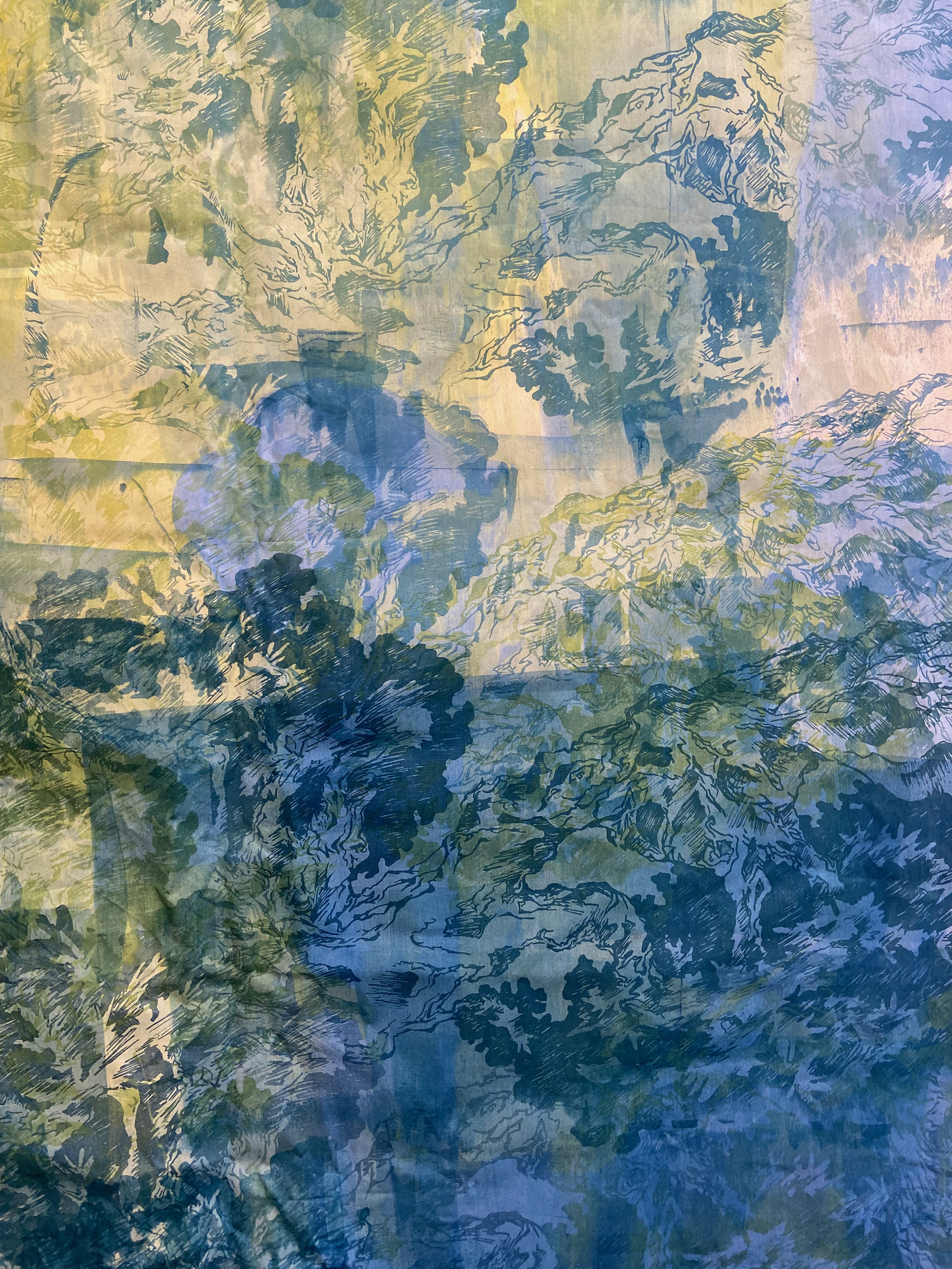 "Home in the Rainy Forest" Details