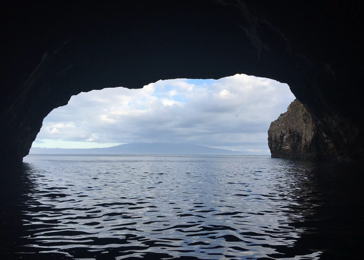 The Galapagos Islands
