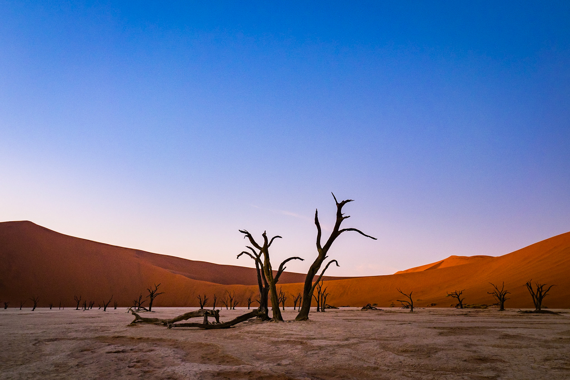 Deadvlei zum Vollmond