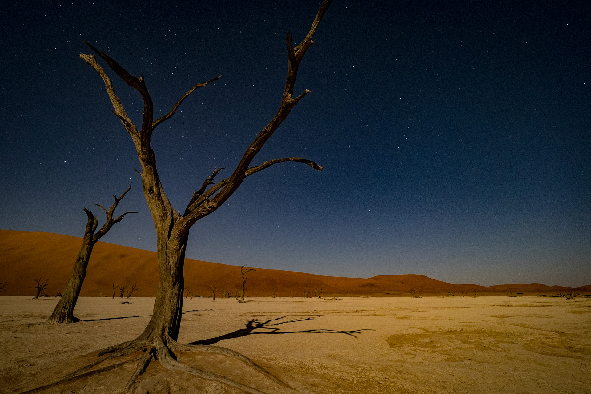 Deadvlei zum Vollmond